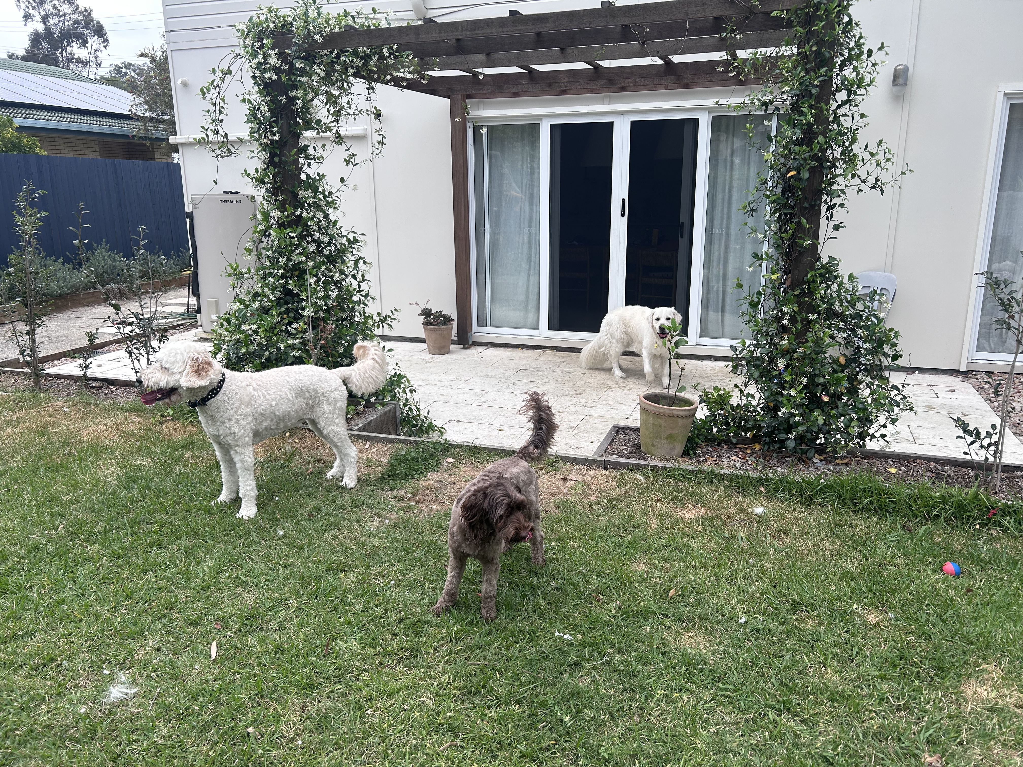 image-8