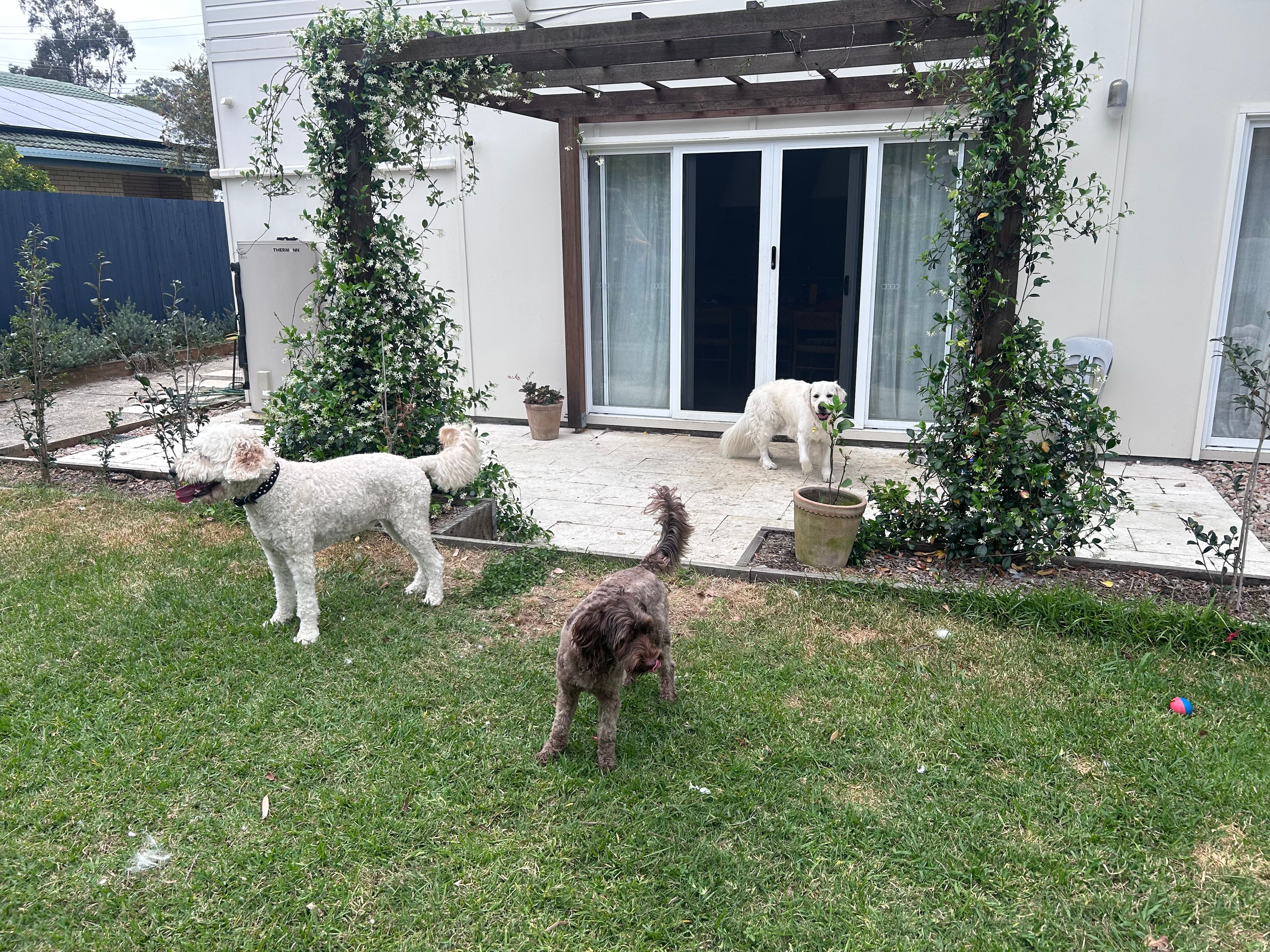 image-8