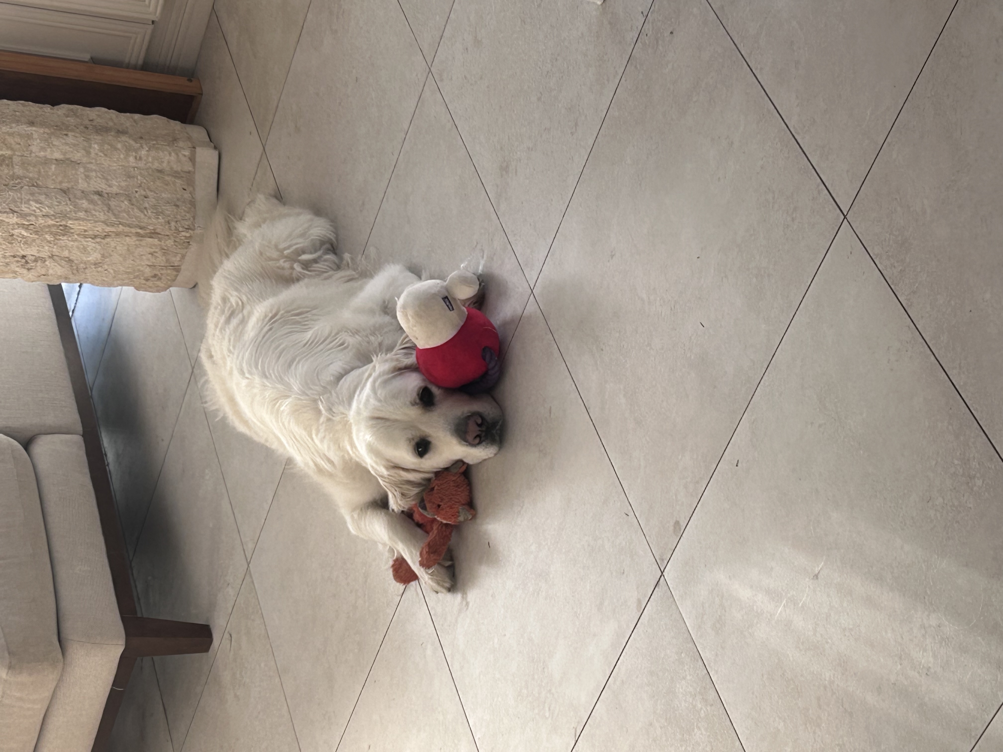 image-6