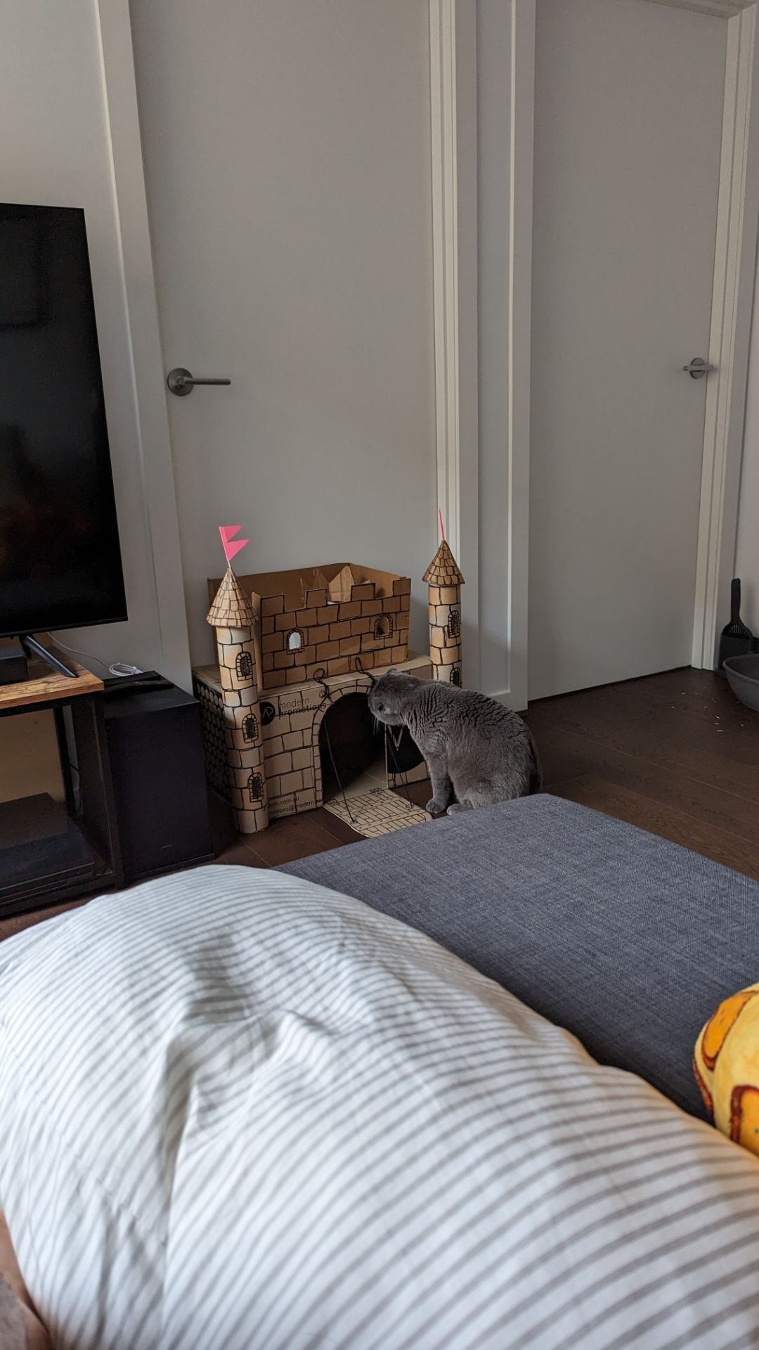 image-6