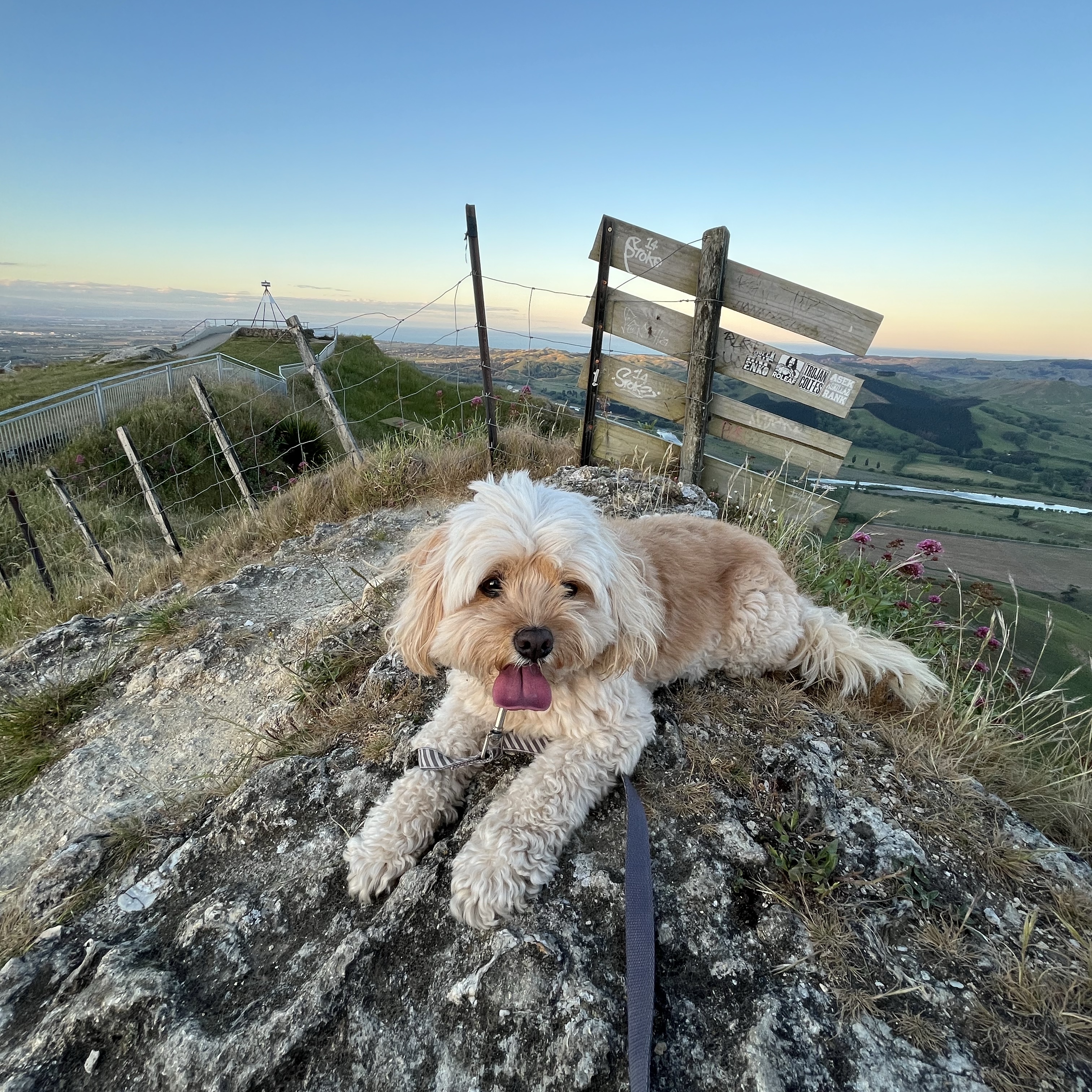 Fergus
