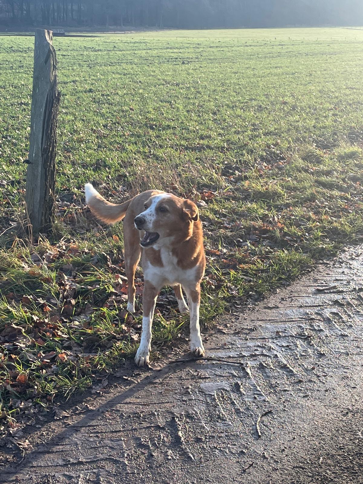 image-7
