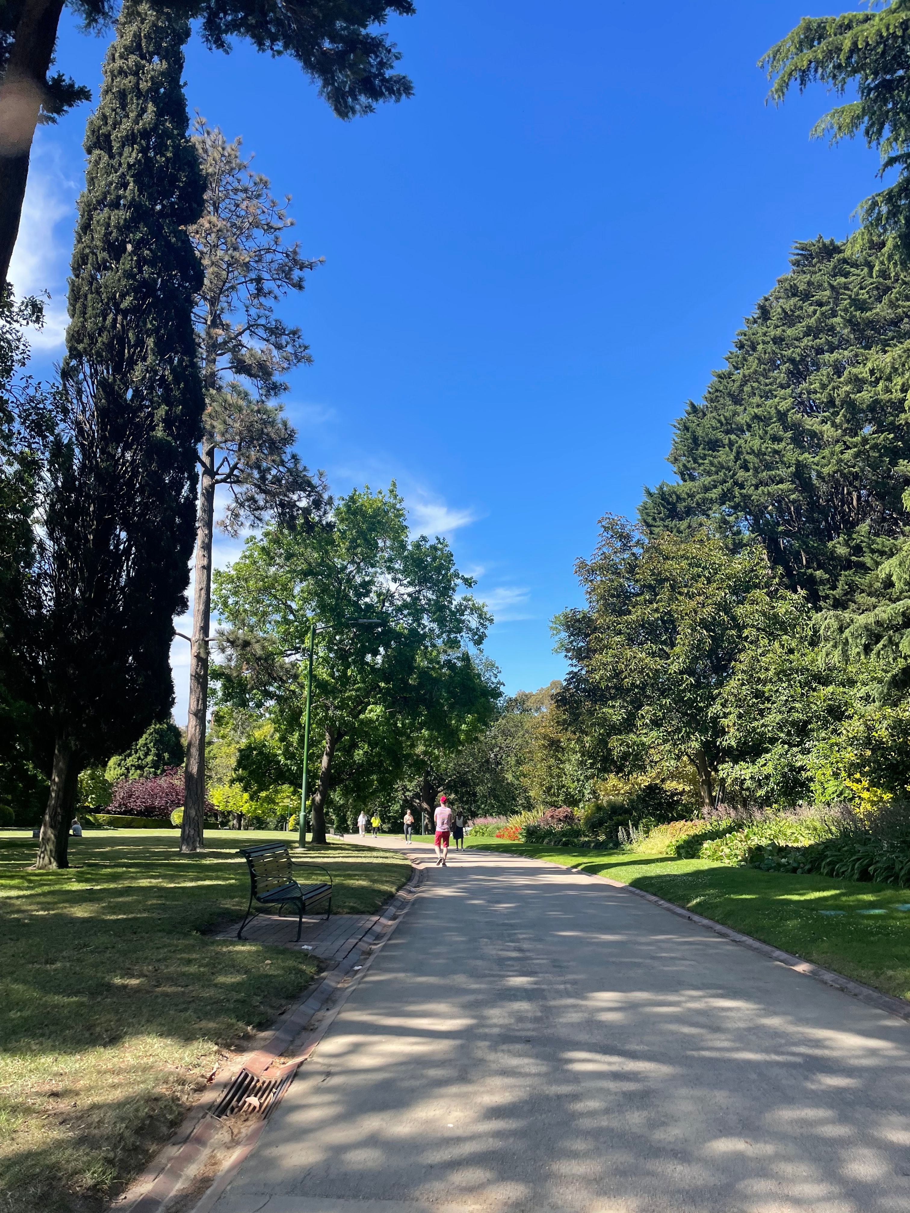 image-7