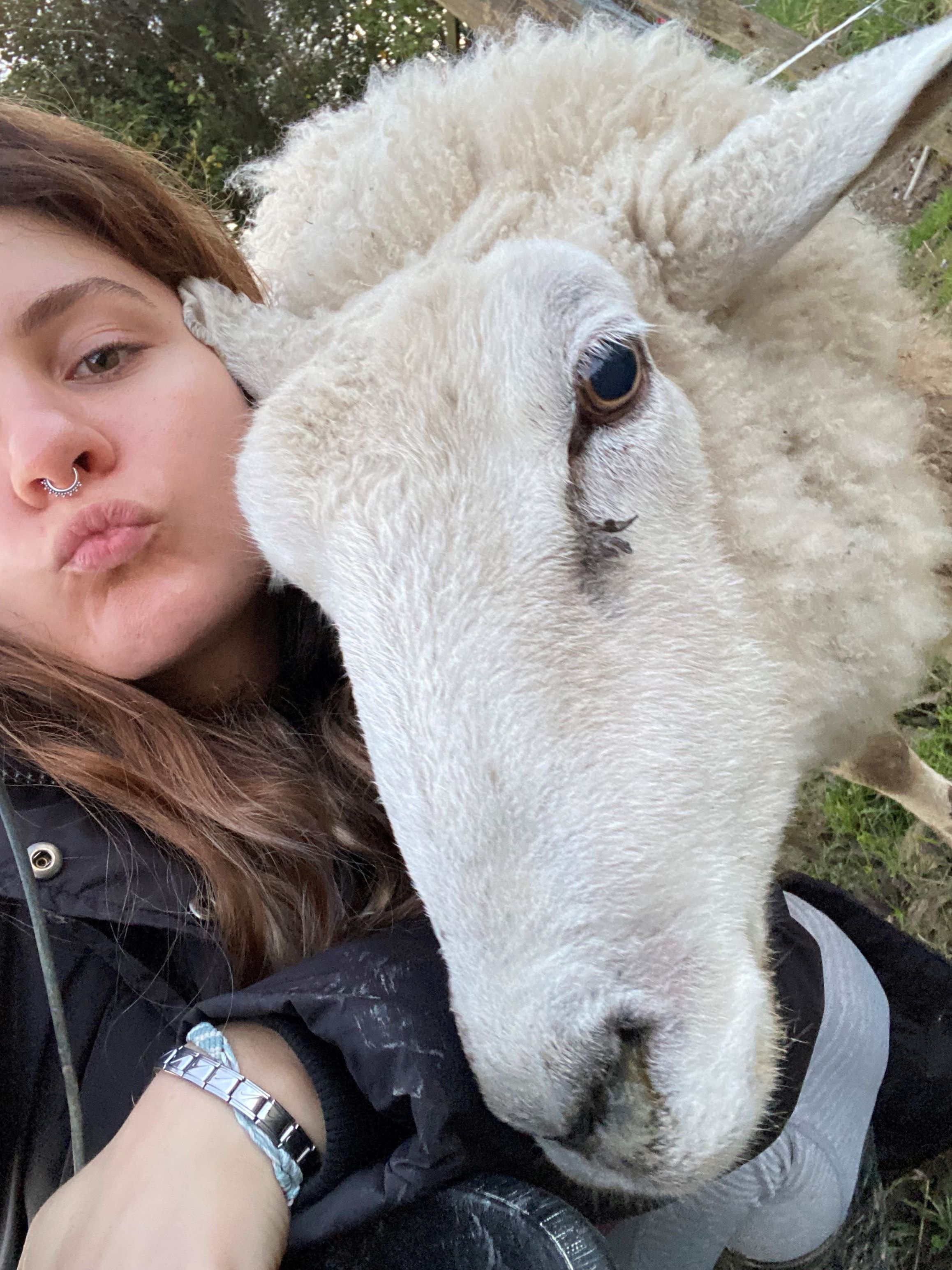 image-4