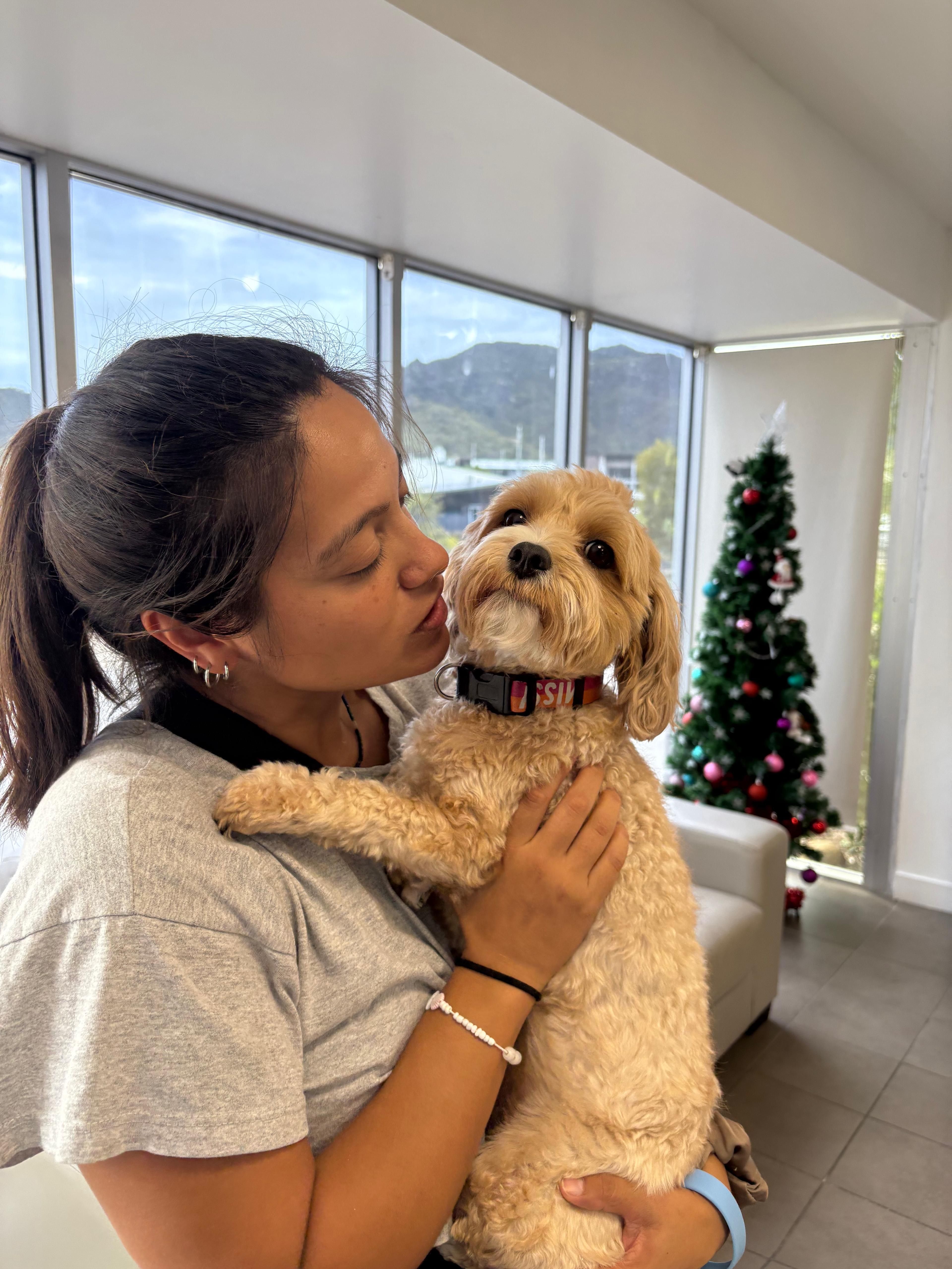 image-1