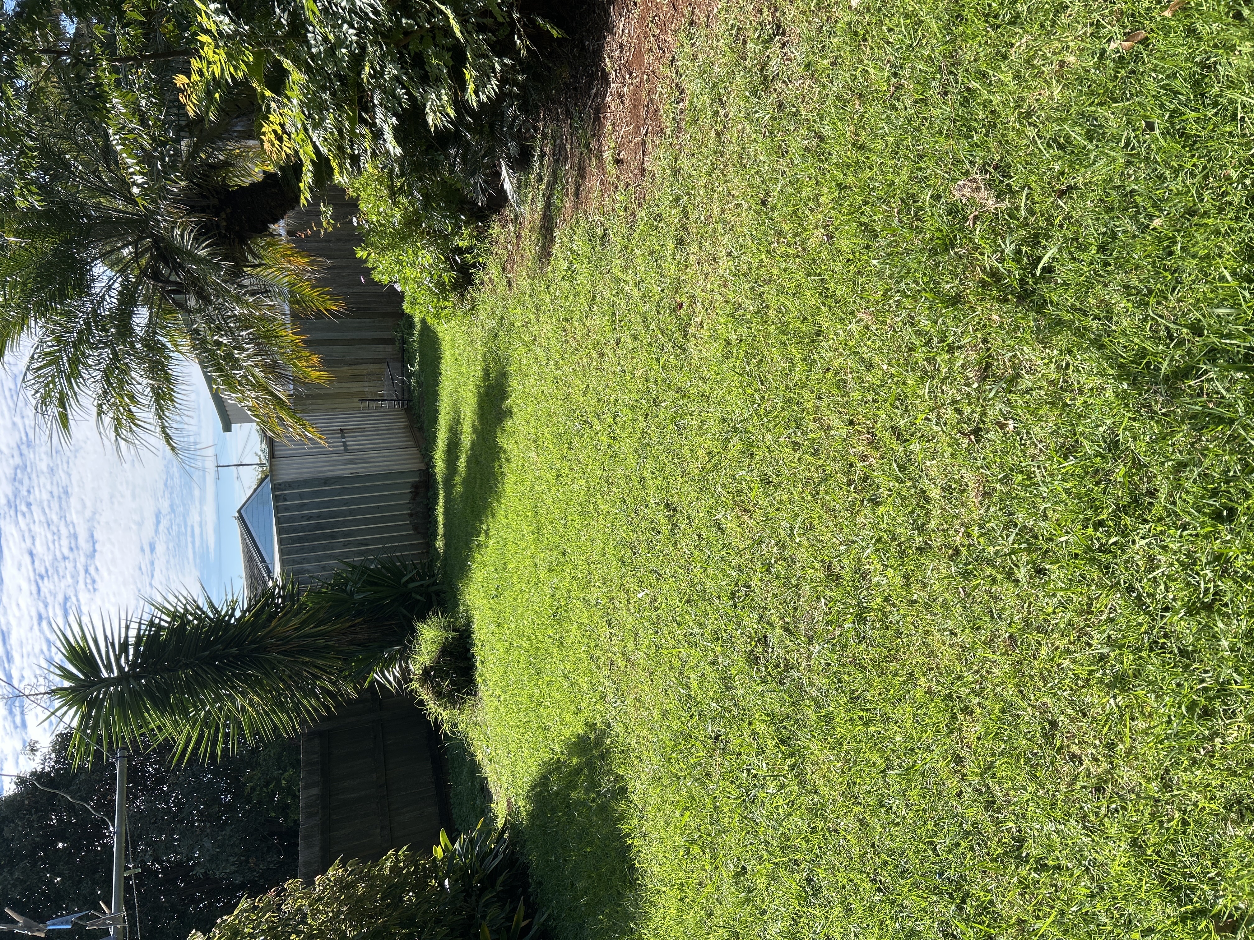 image-14