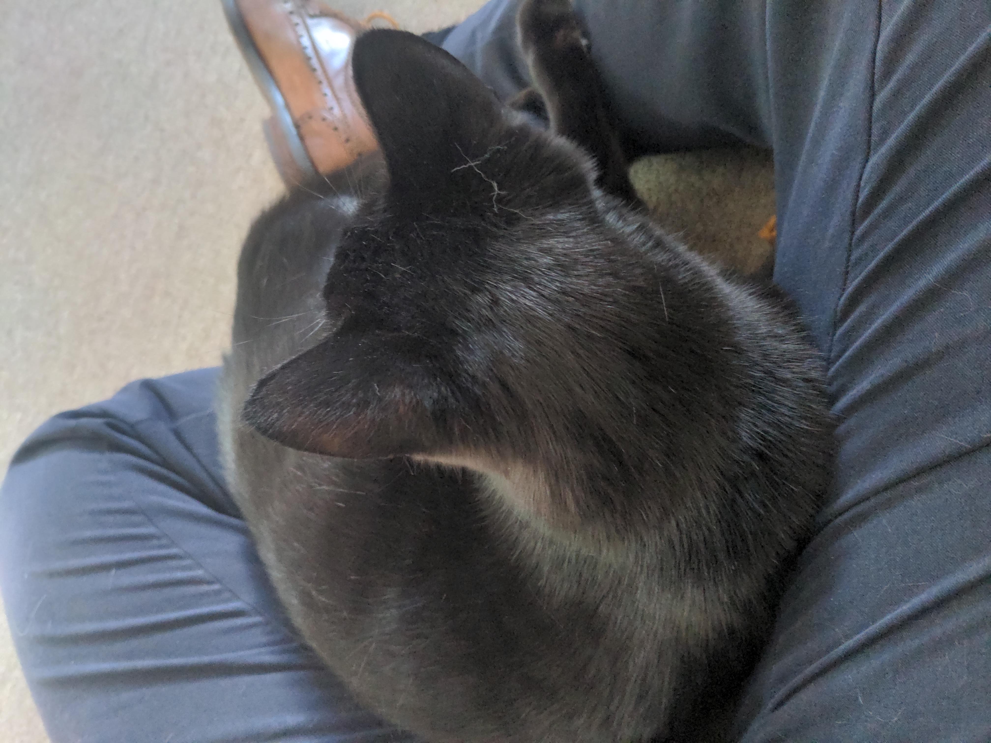 image-5