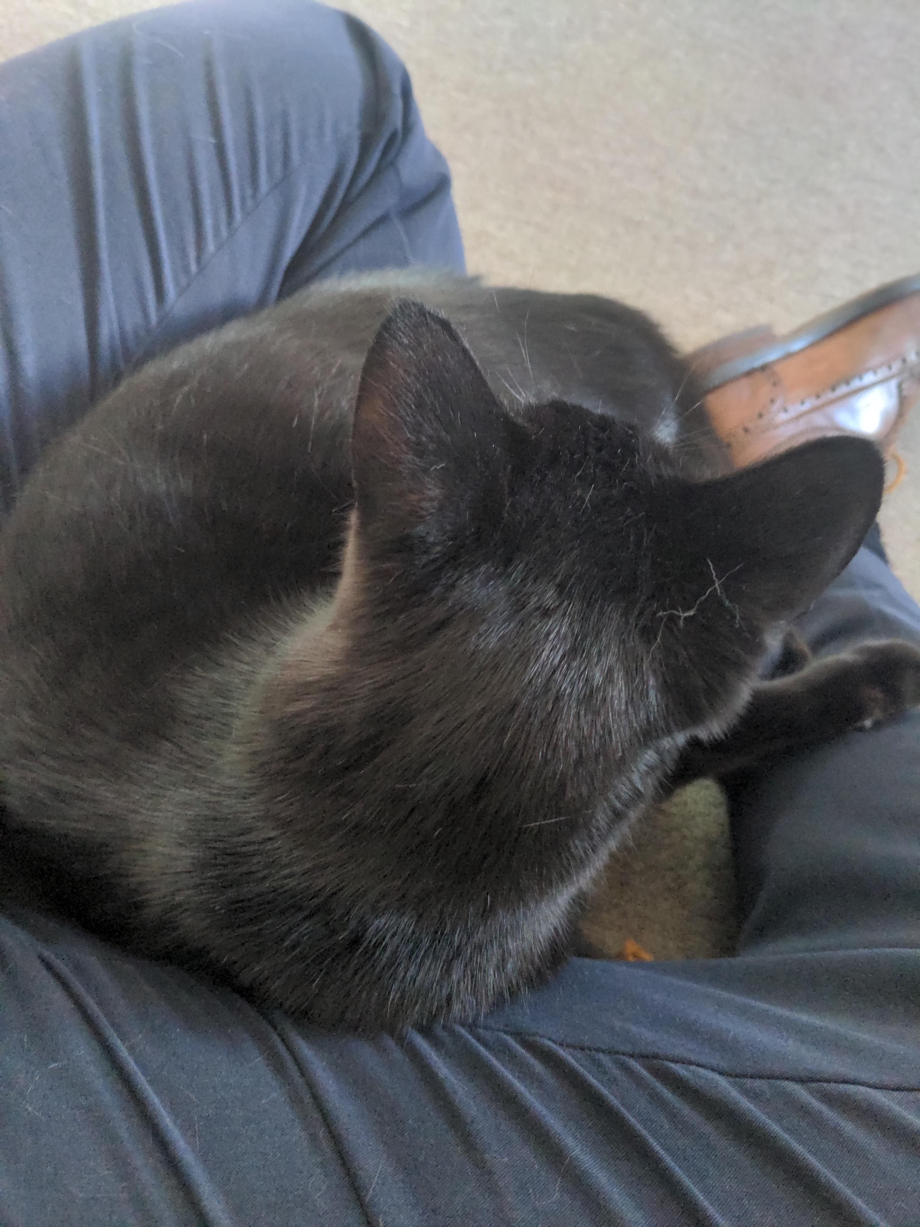image-5