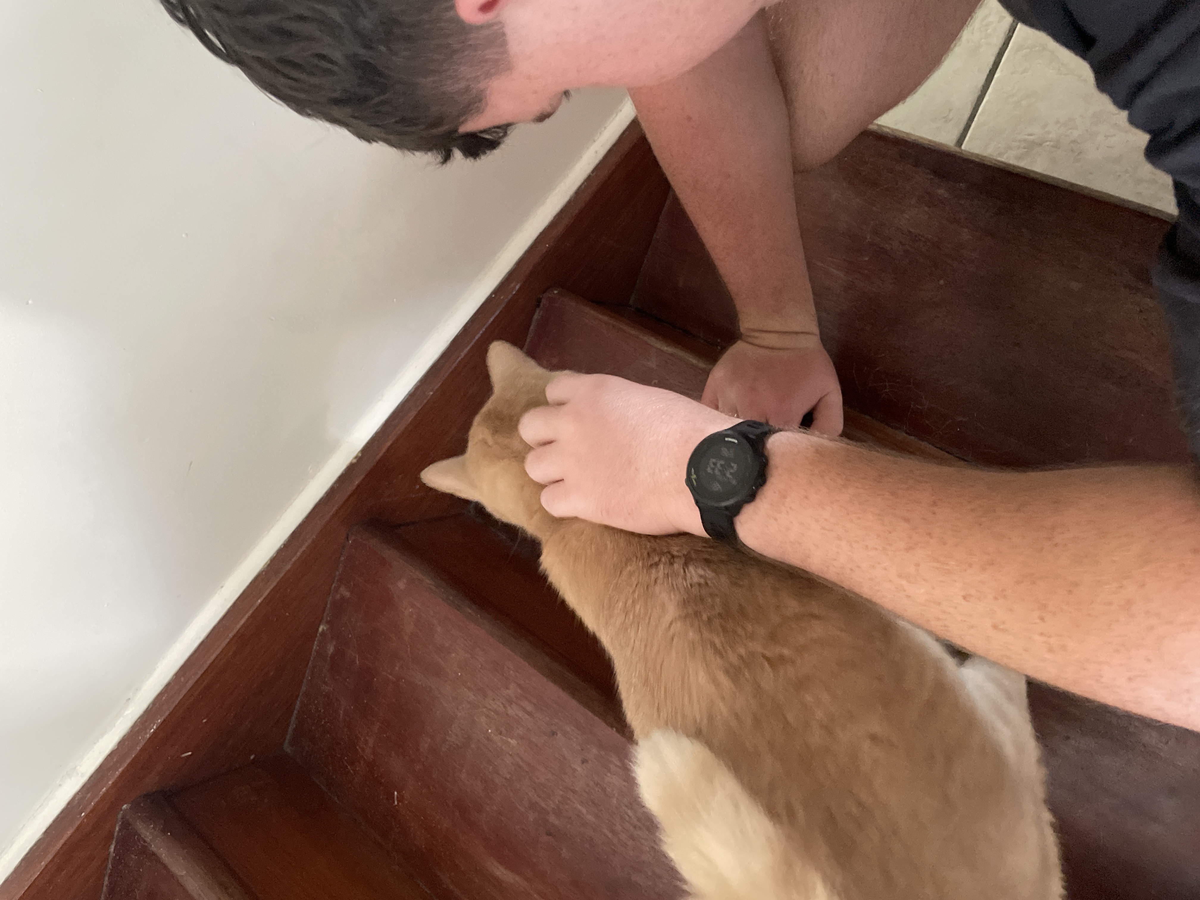 image-8