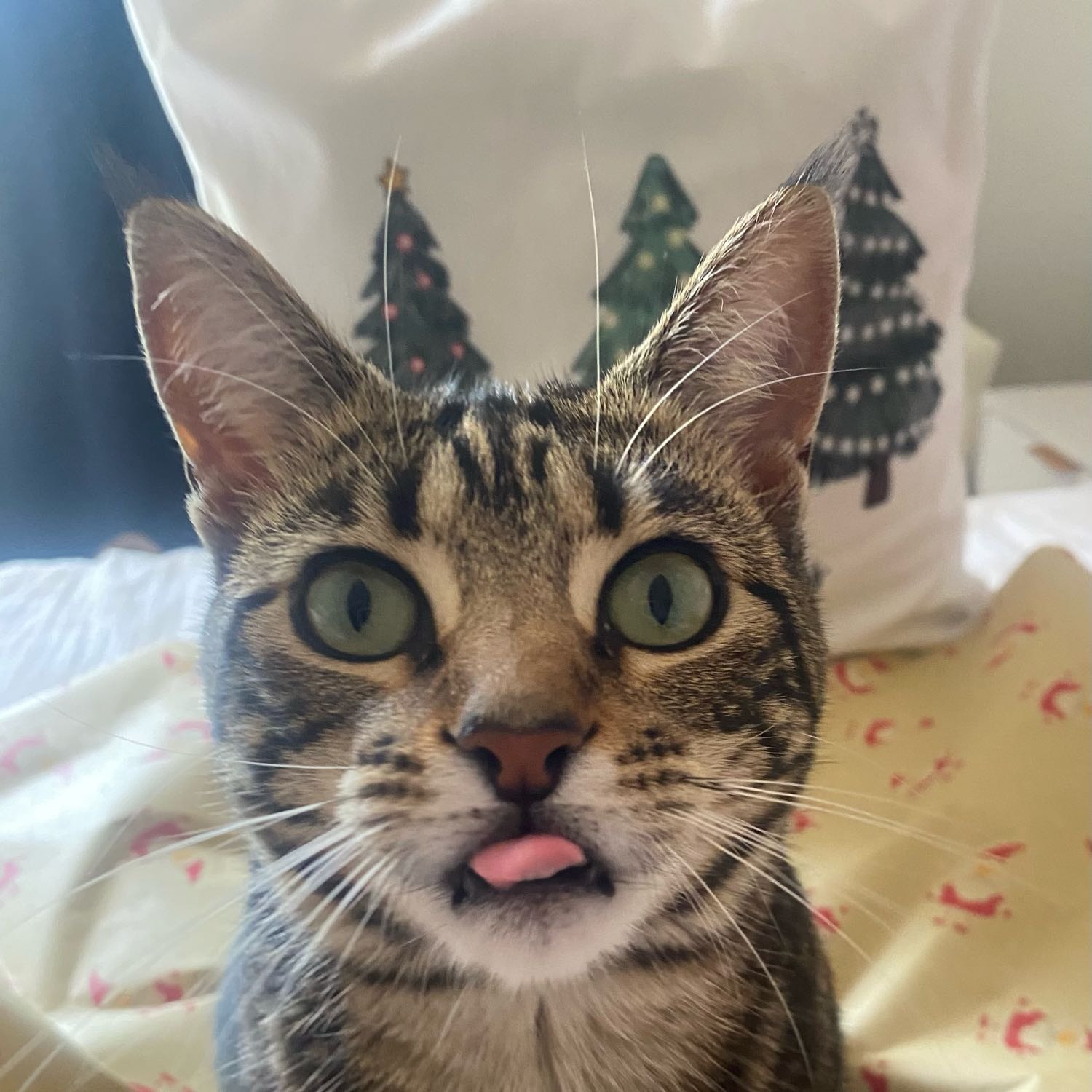 Delilah