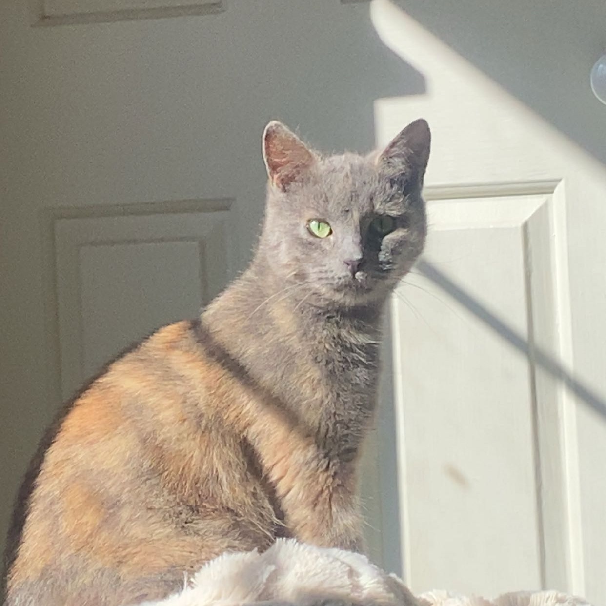 Maggie