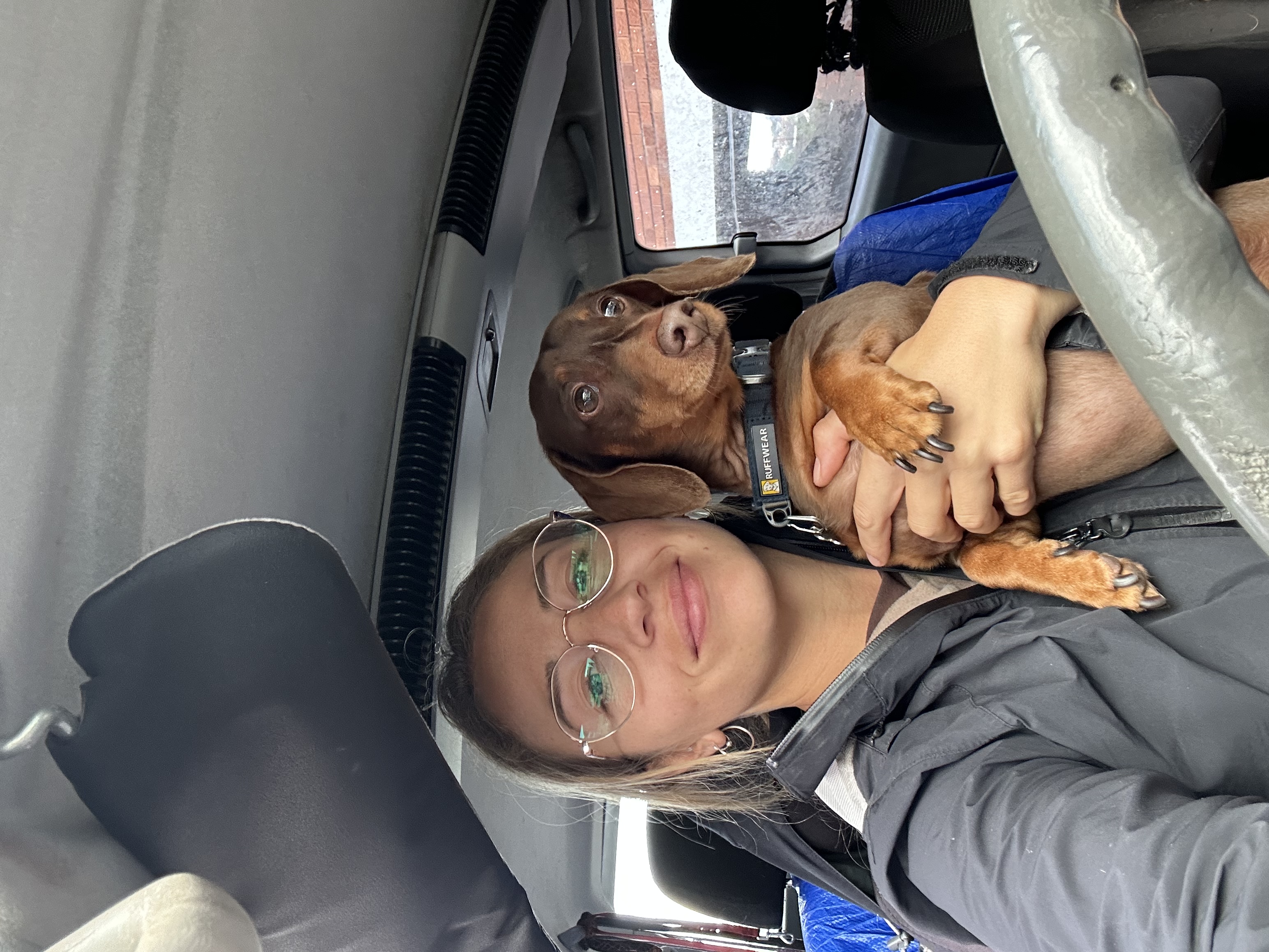 image-6