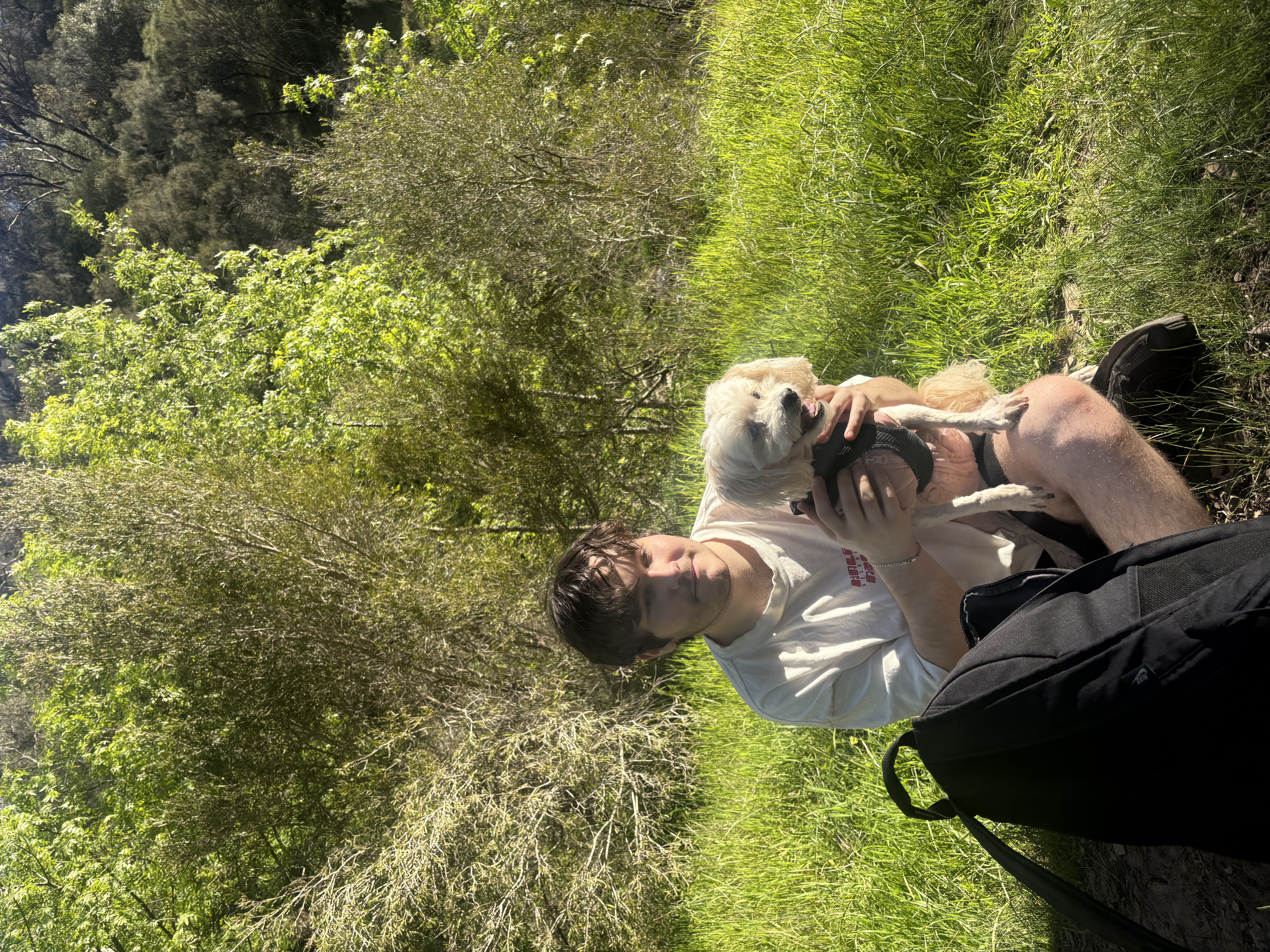 image-9