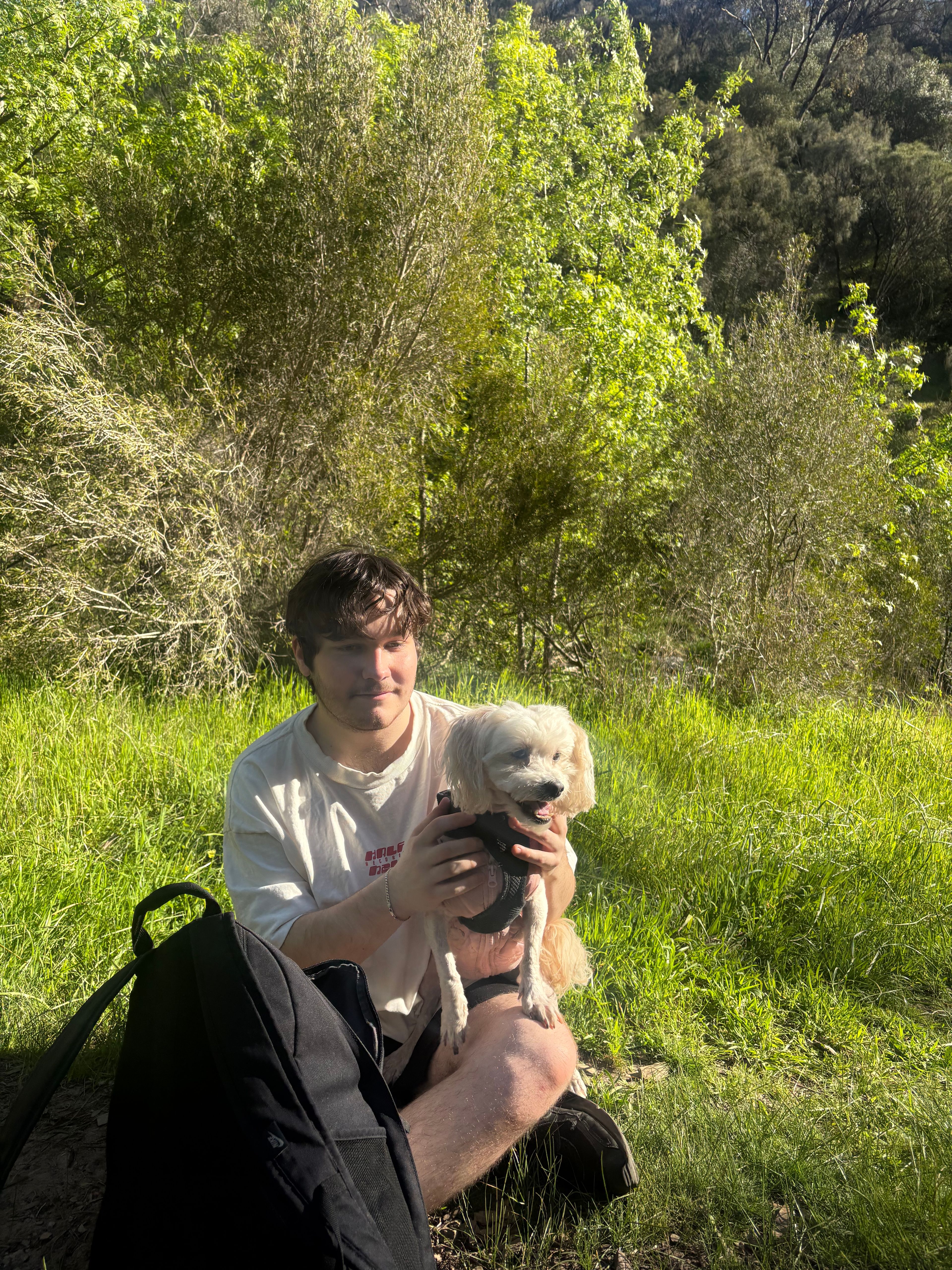 image-9