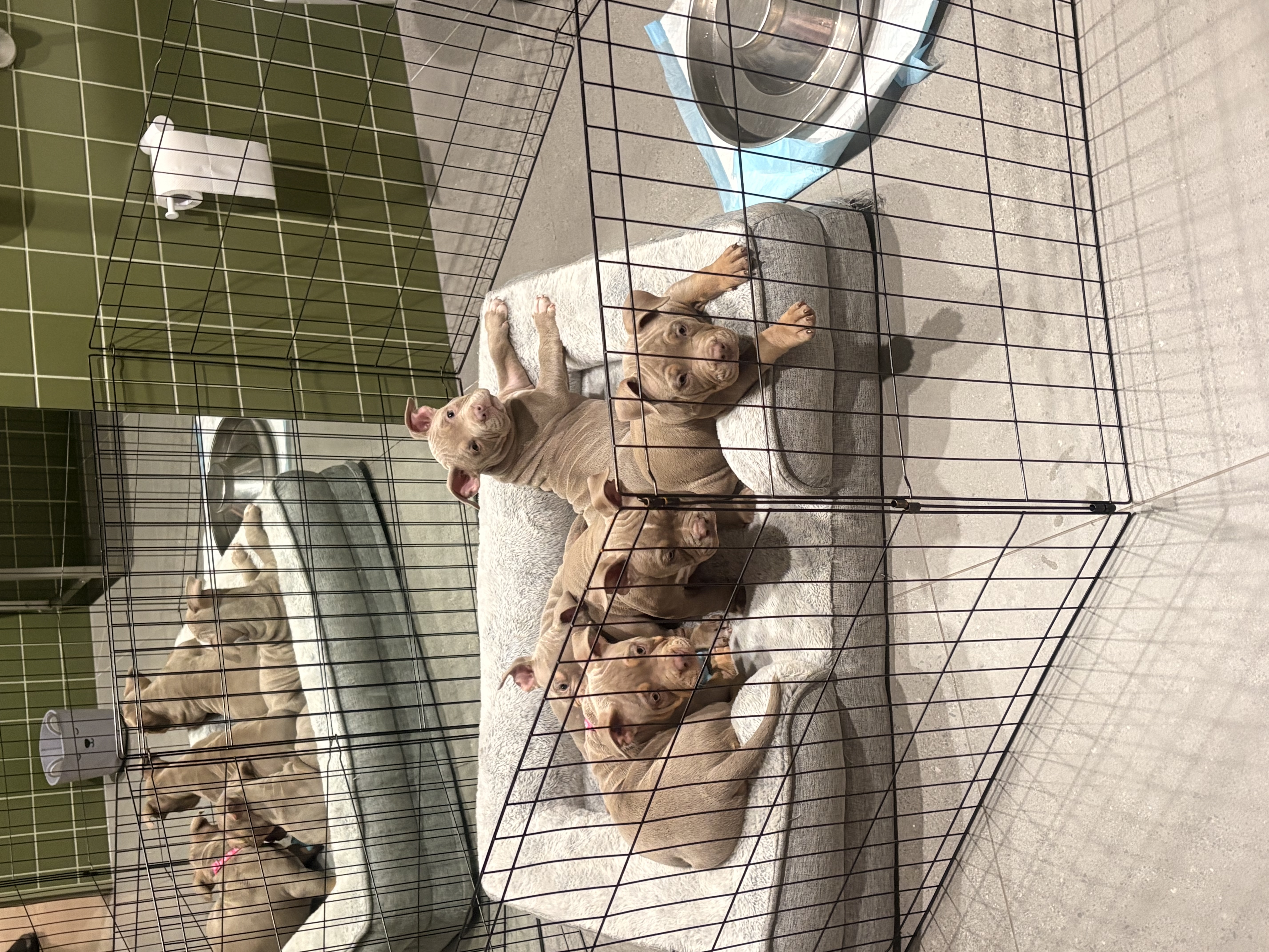 image-6