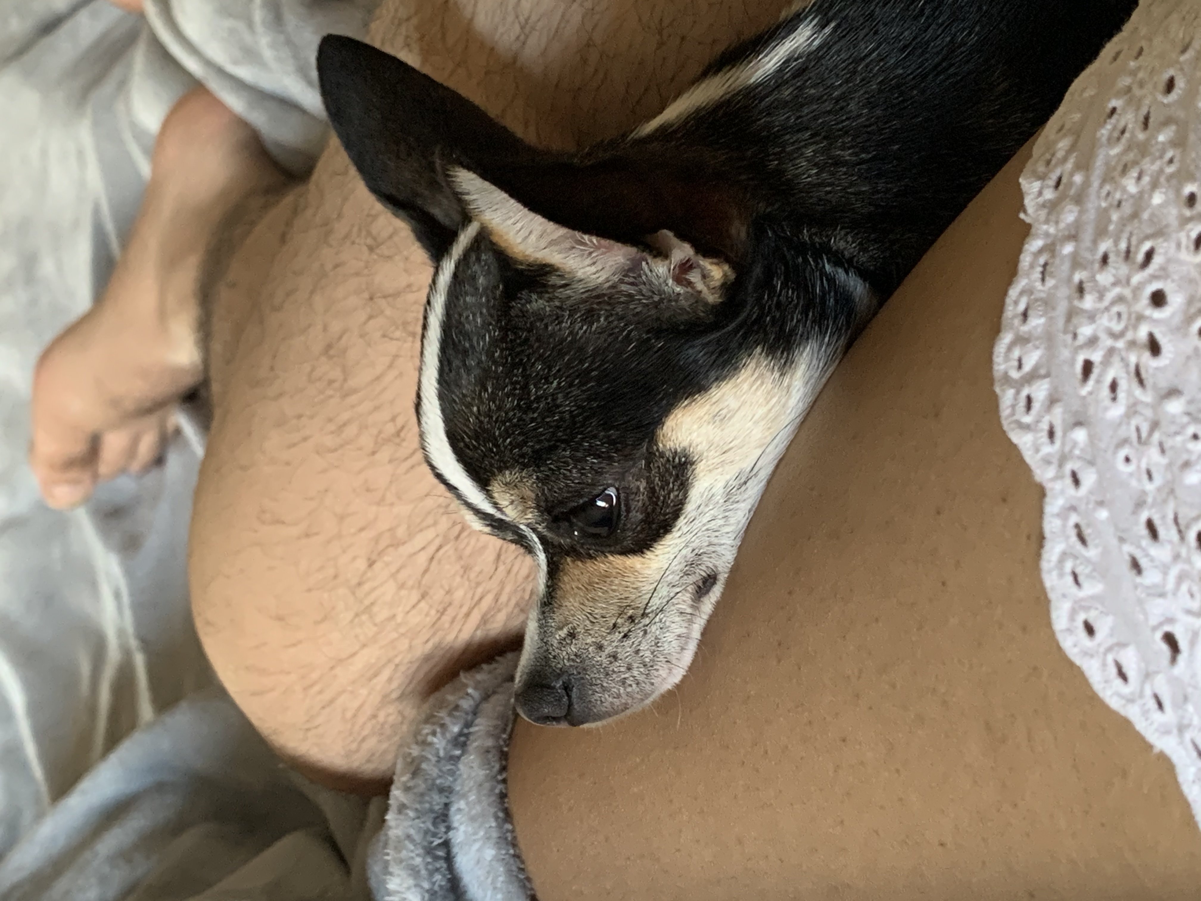image-5