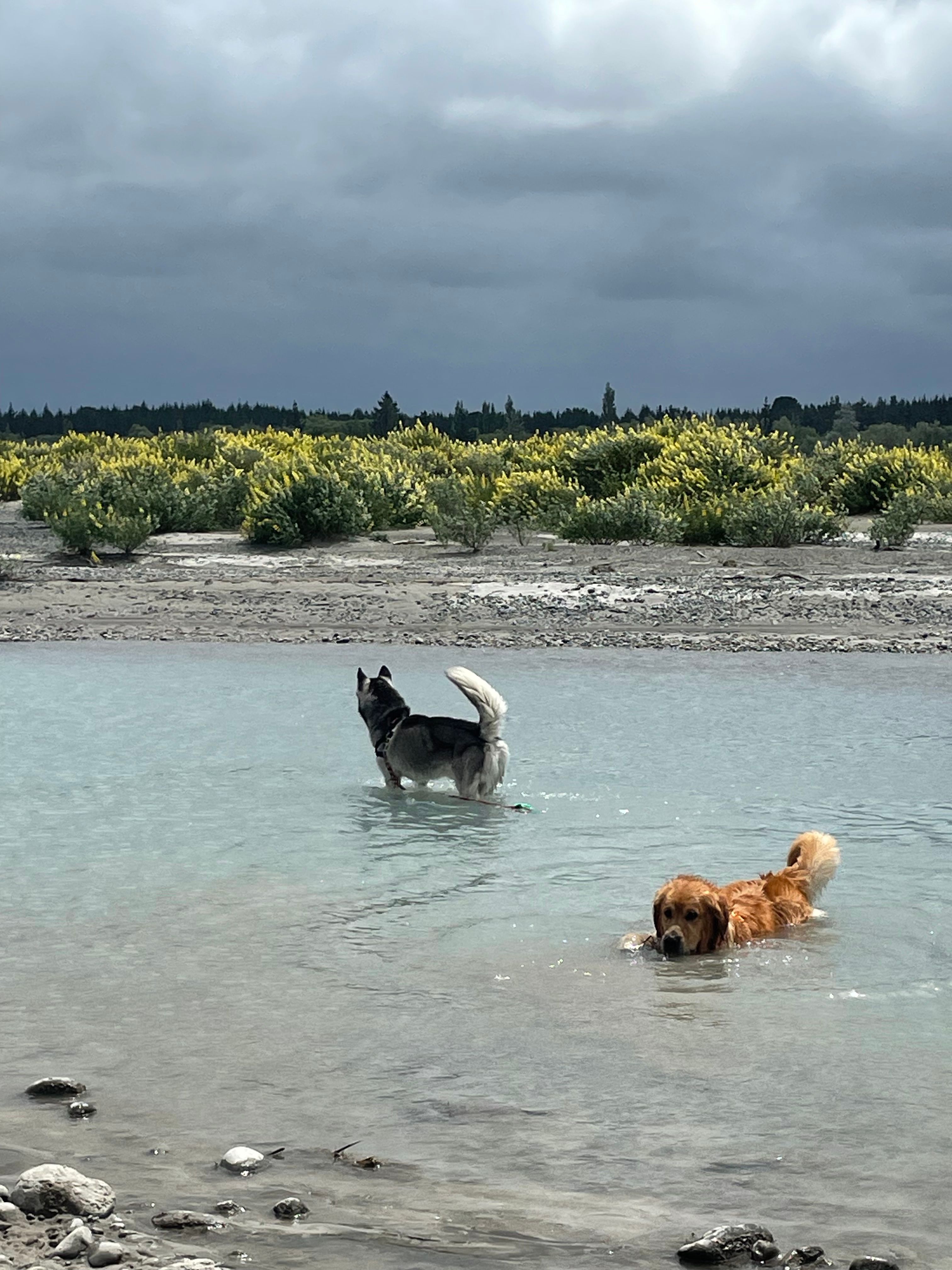 image-9
