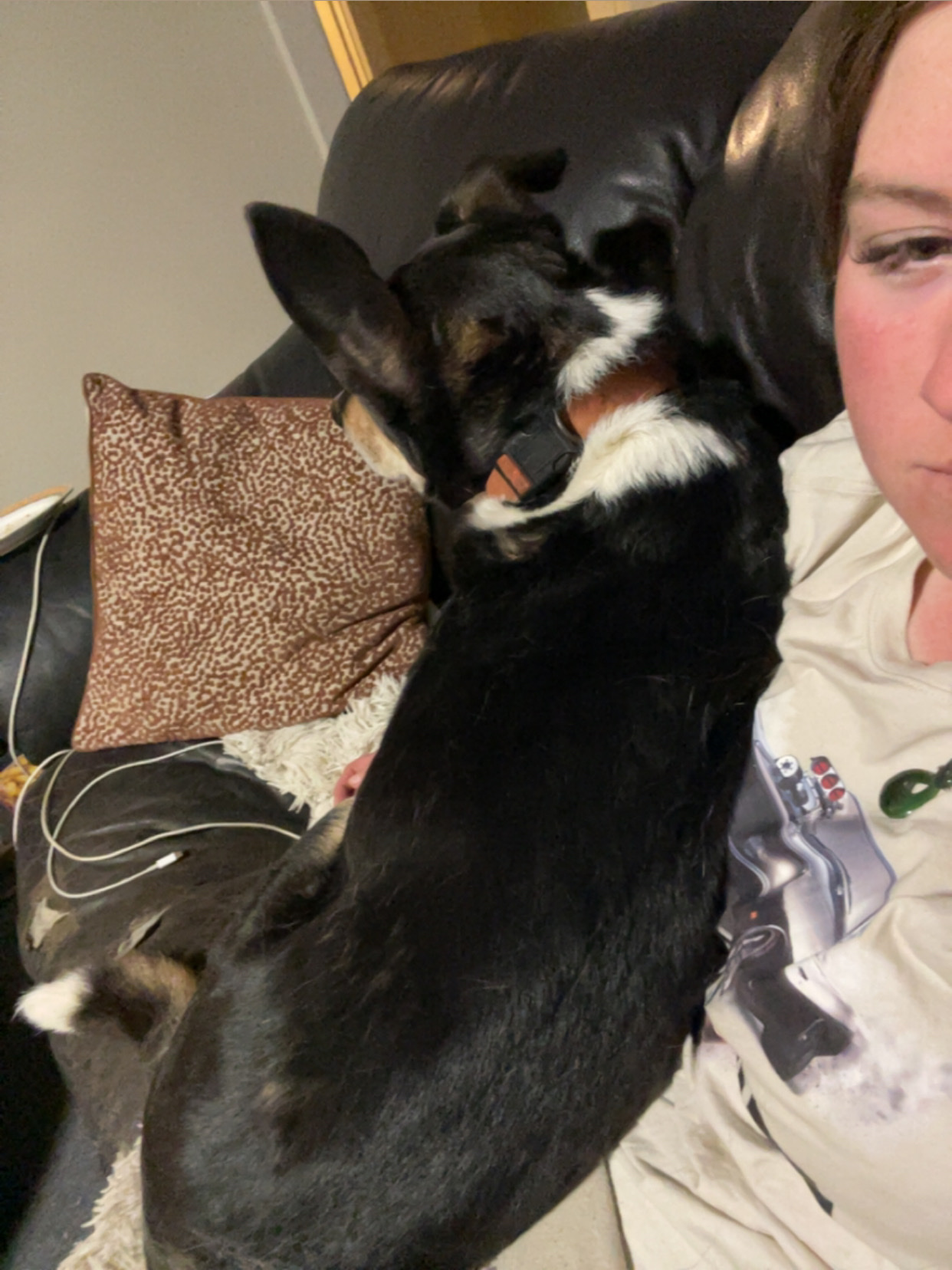image-7