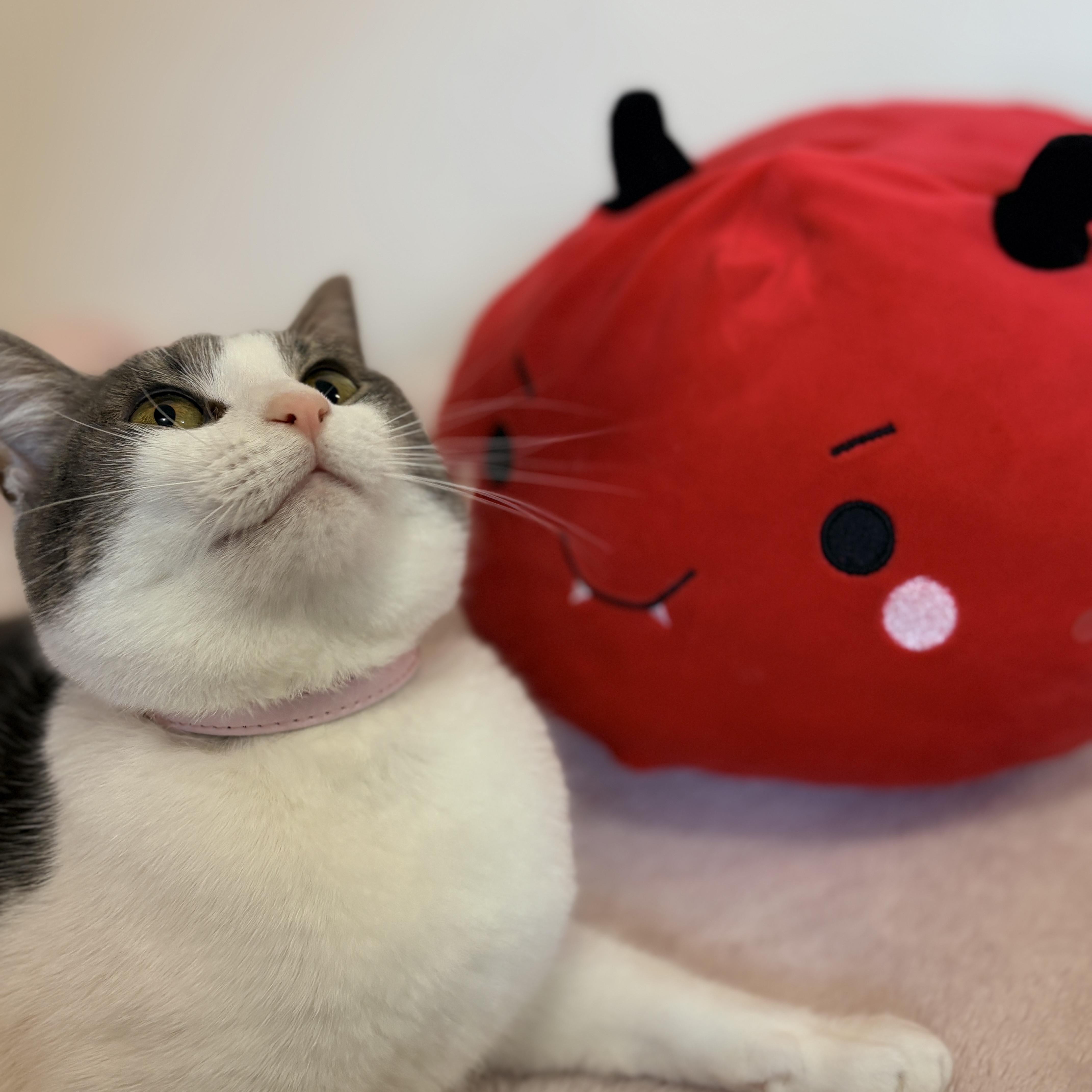 Pepper
