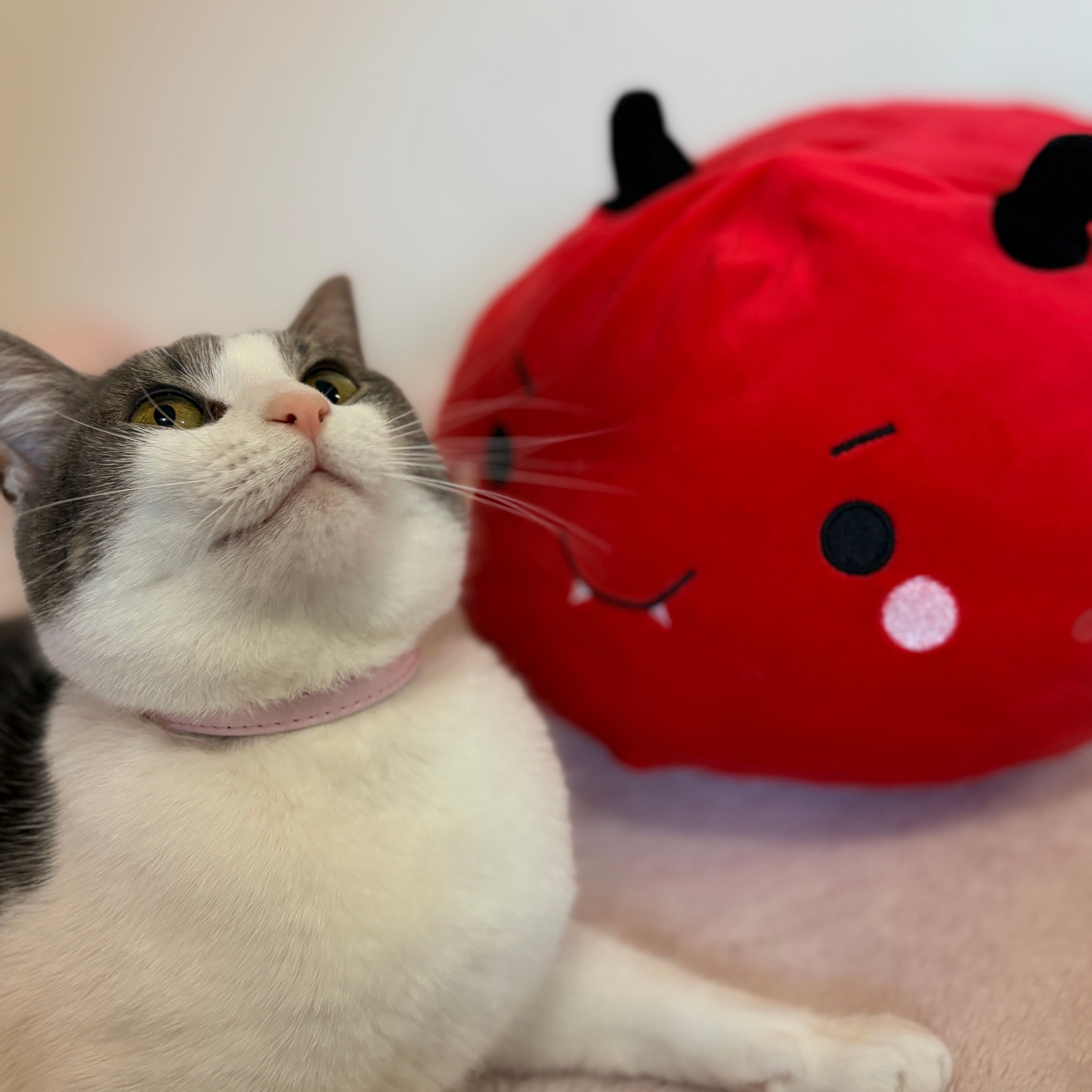Pepper