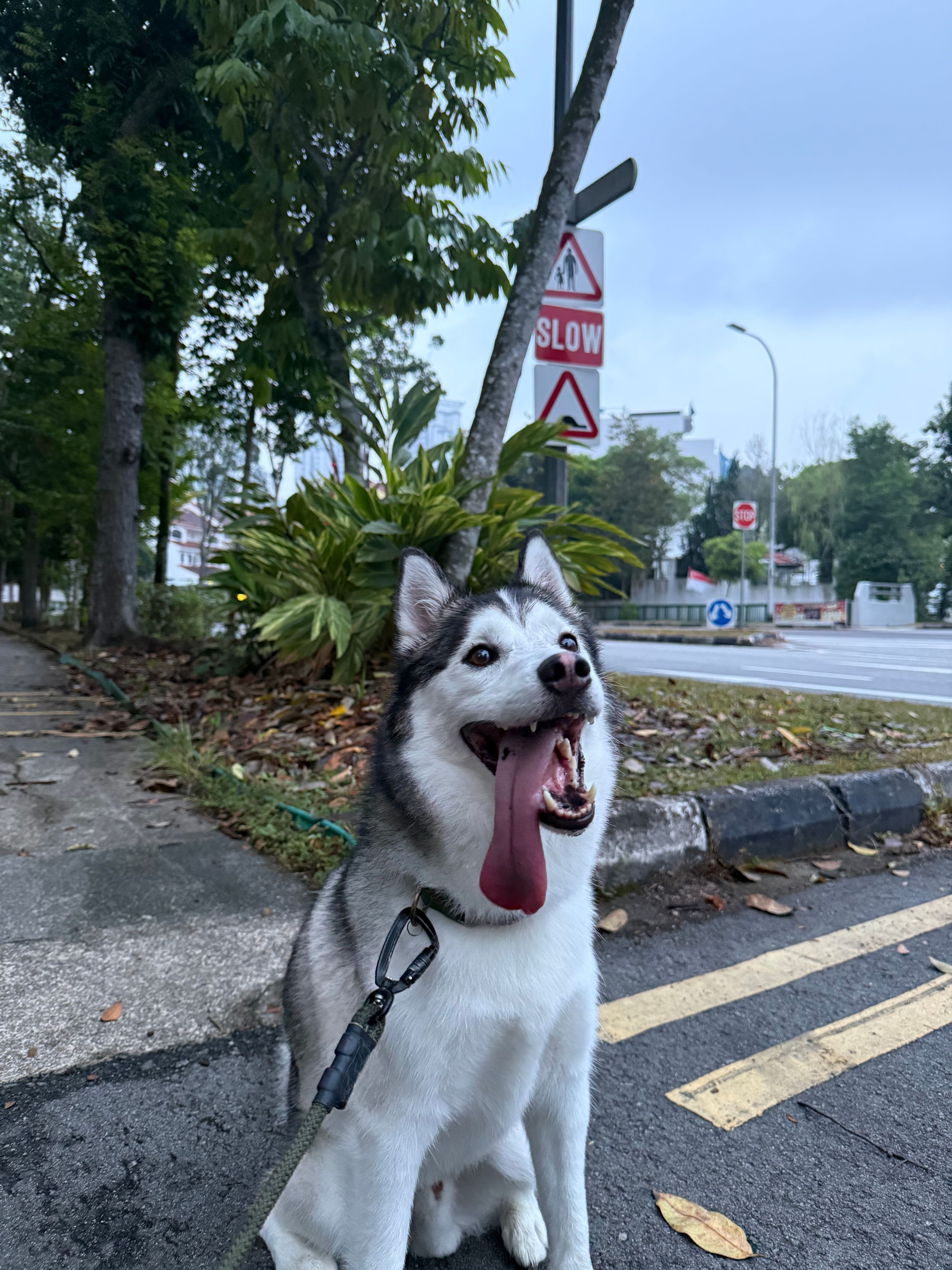 image-18