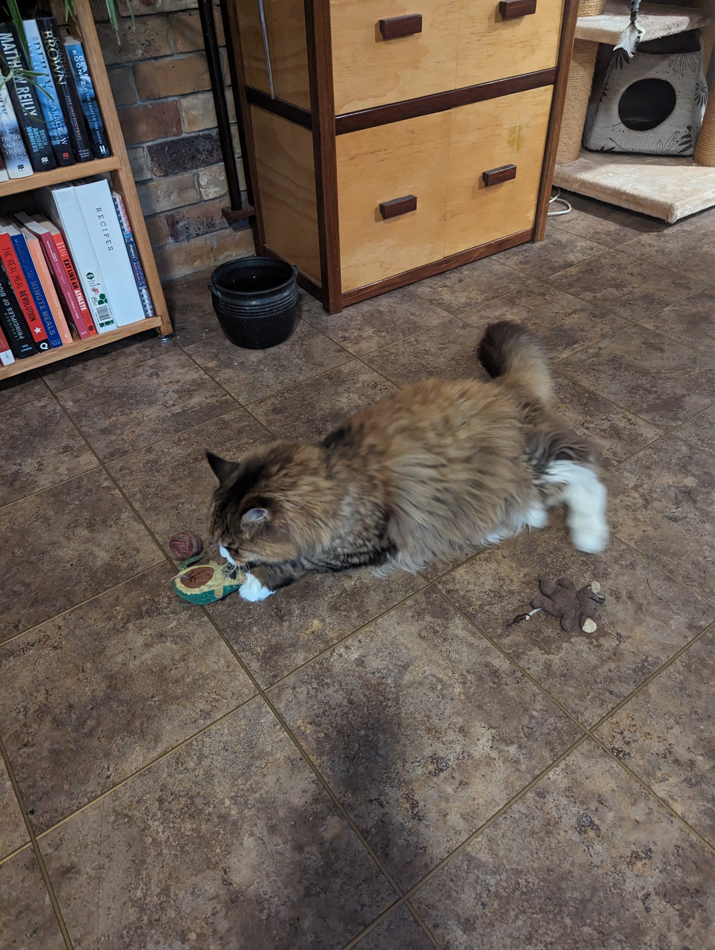 image-9