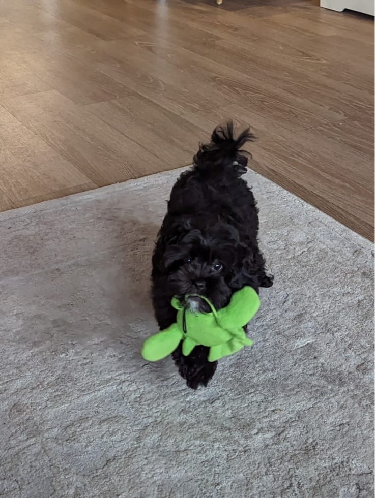 image-3