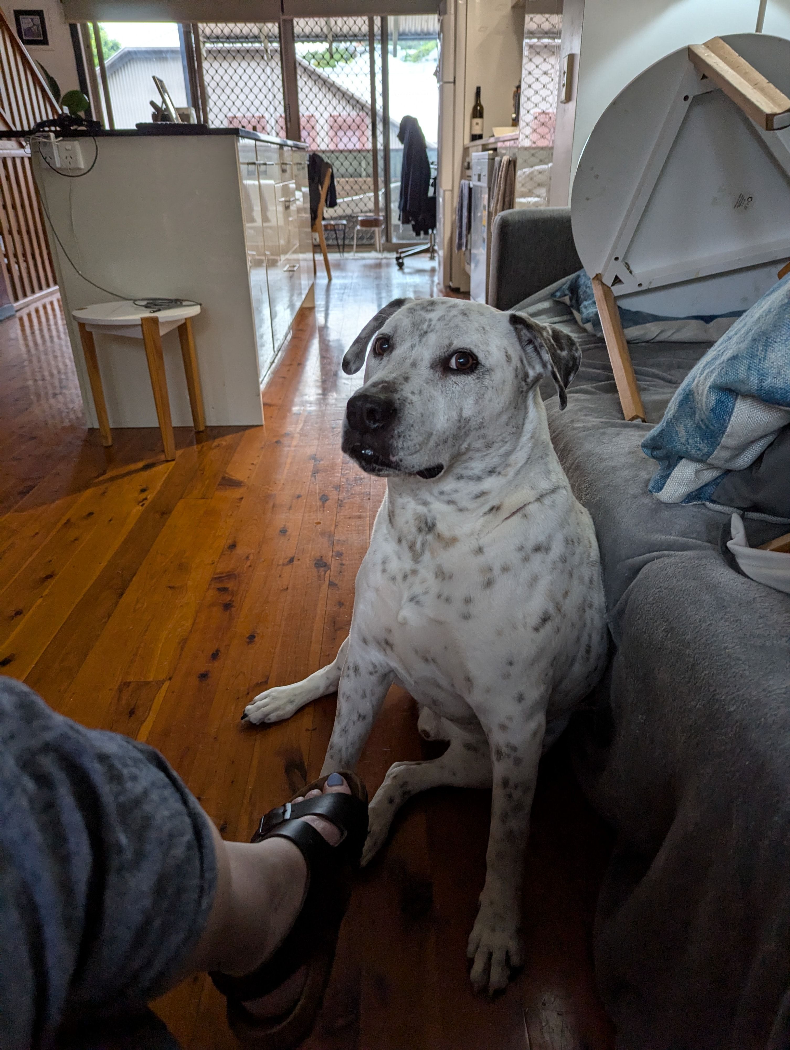 image-19