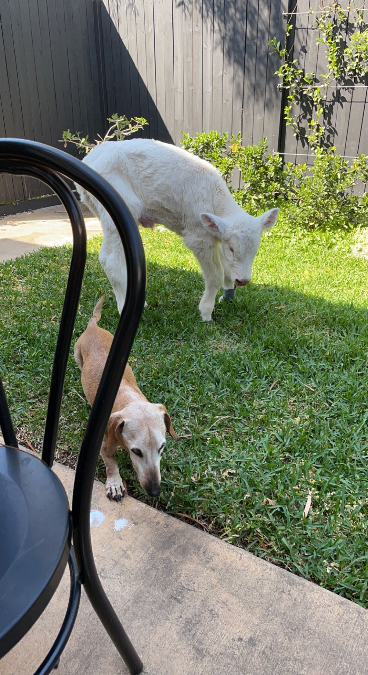image-12