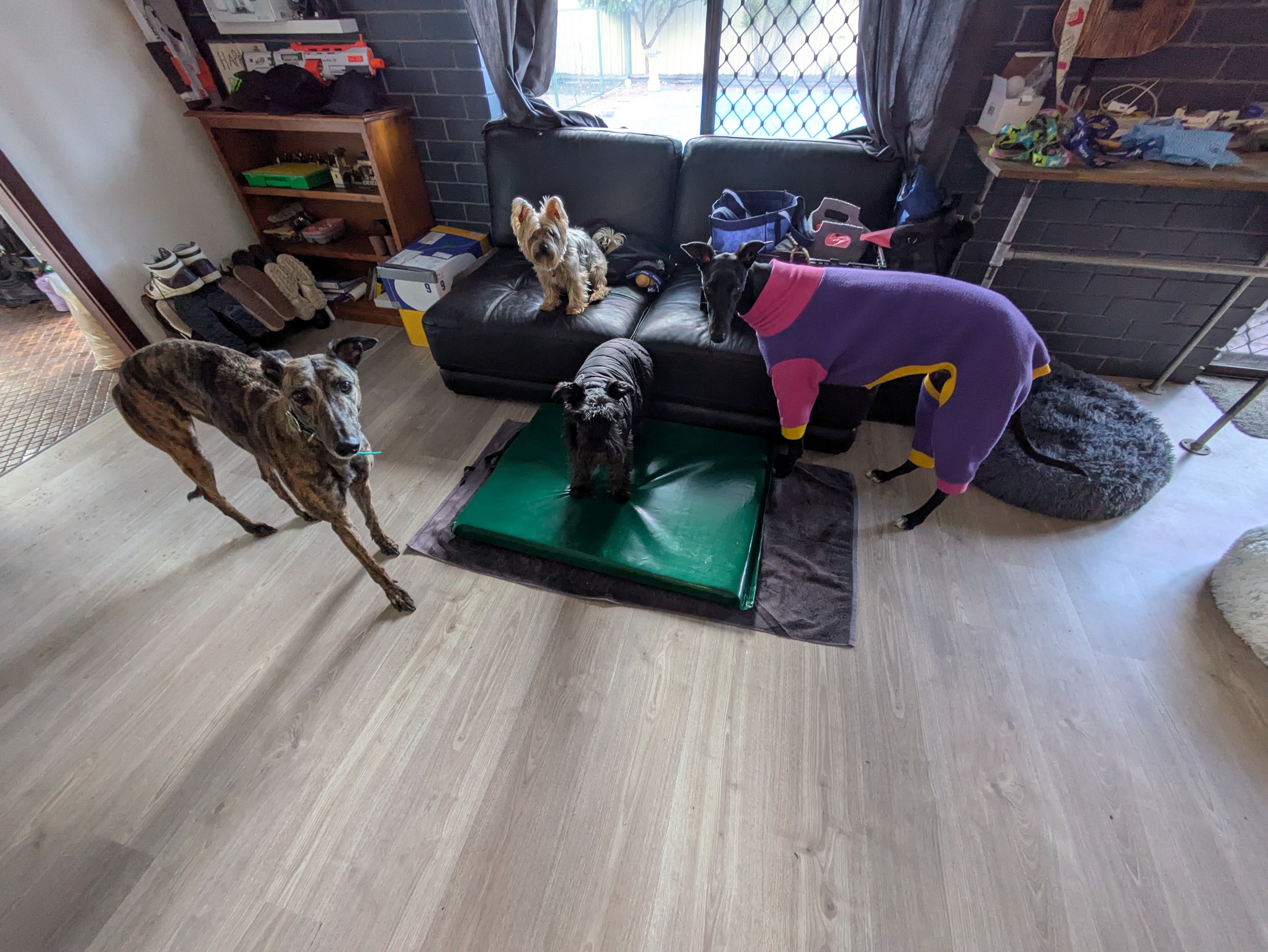 image-8