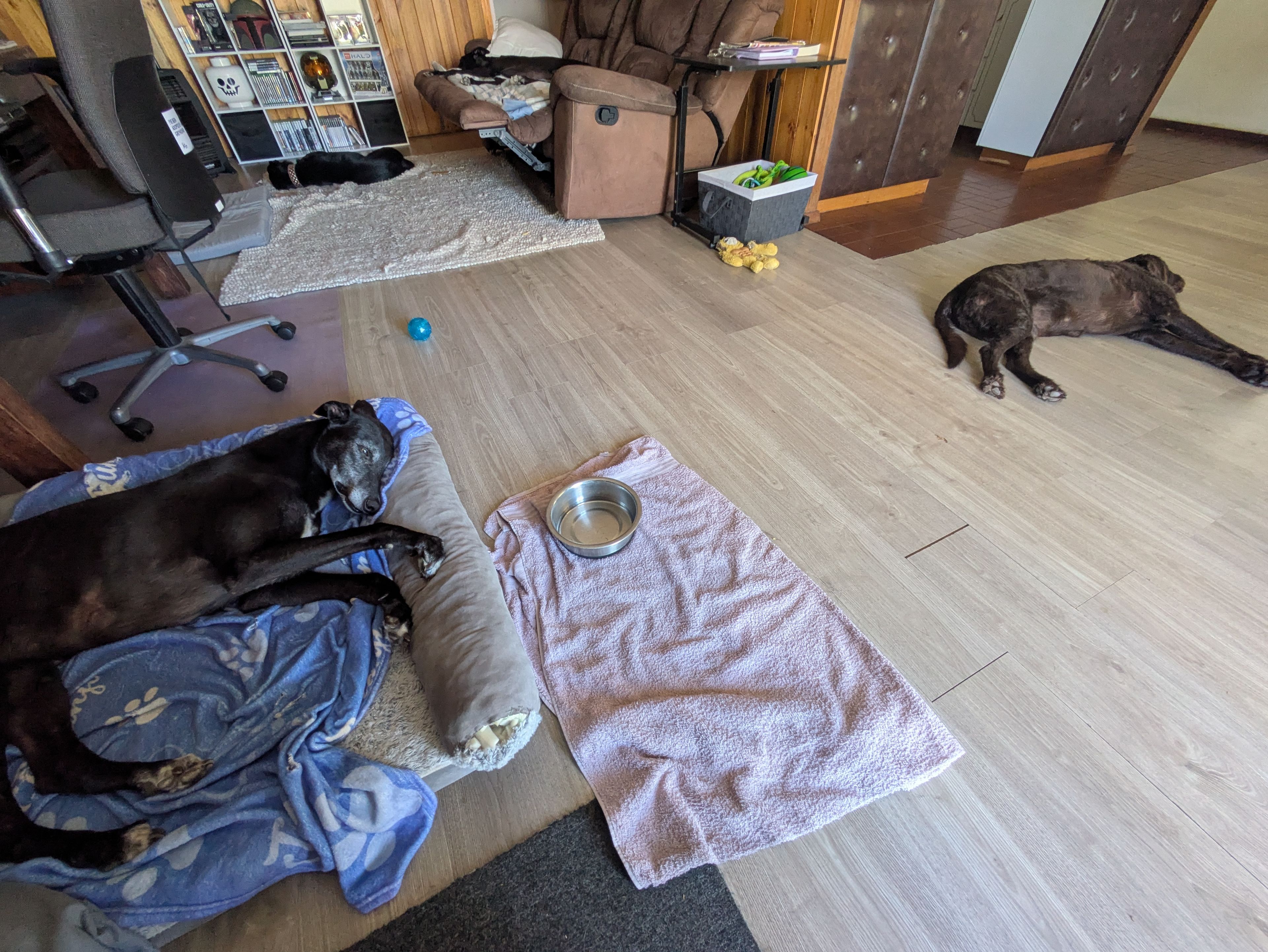 image-14