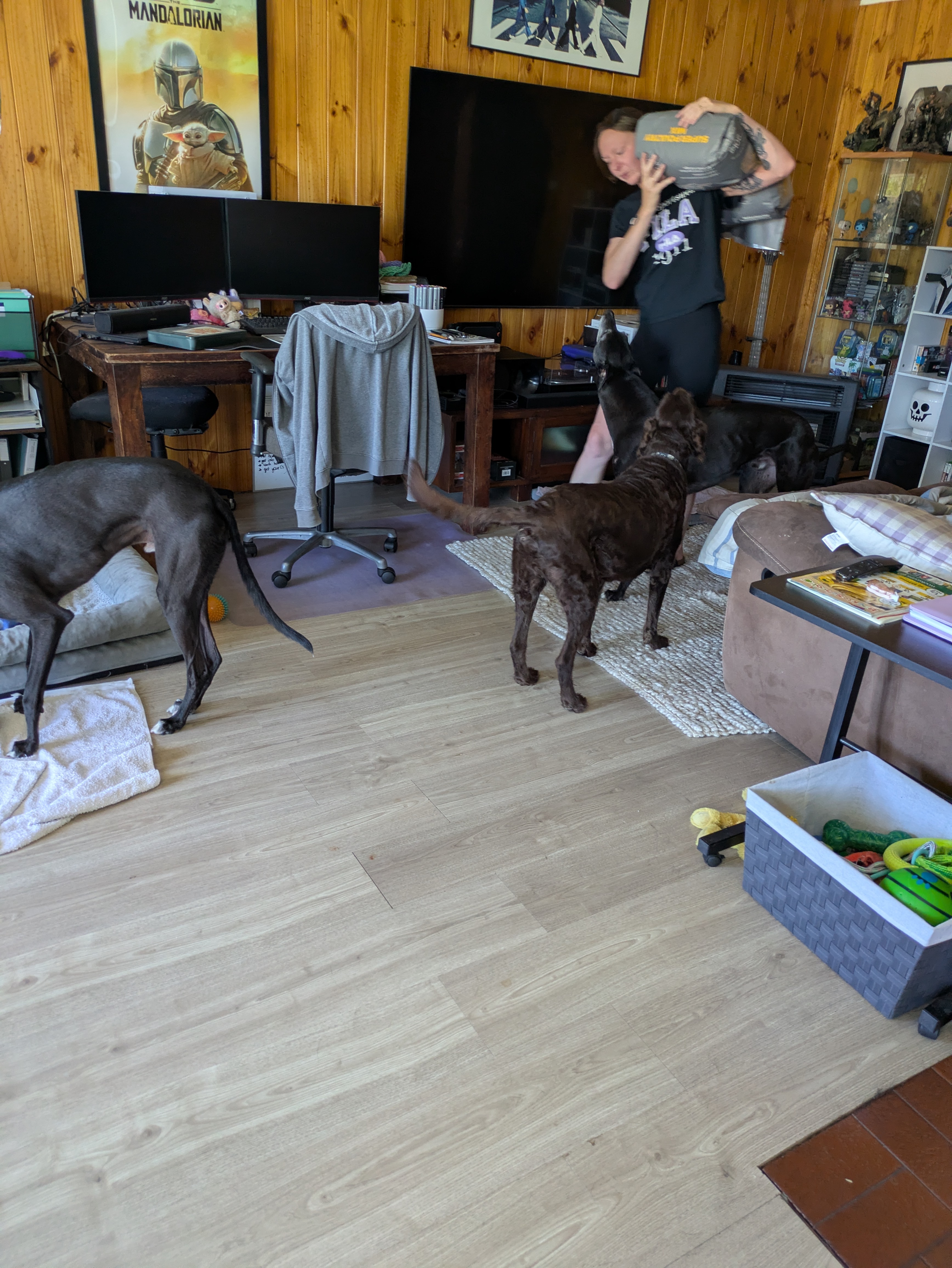 image-16