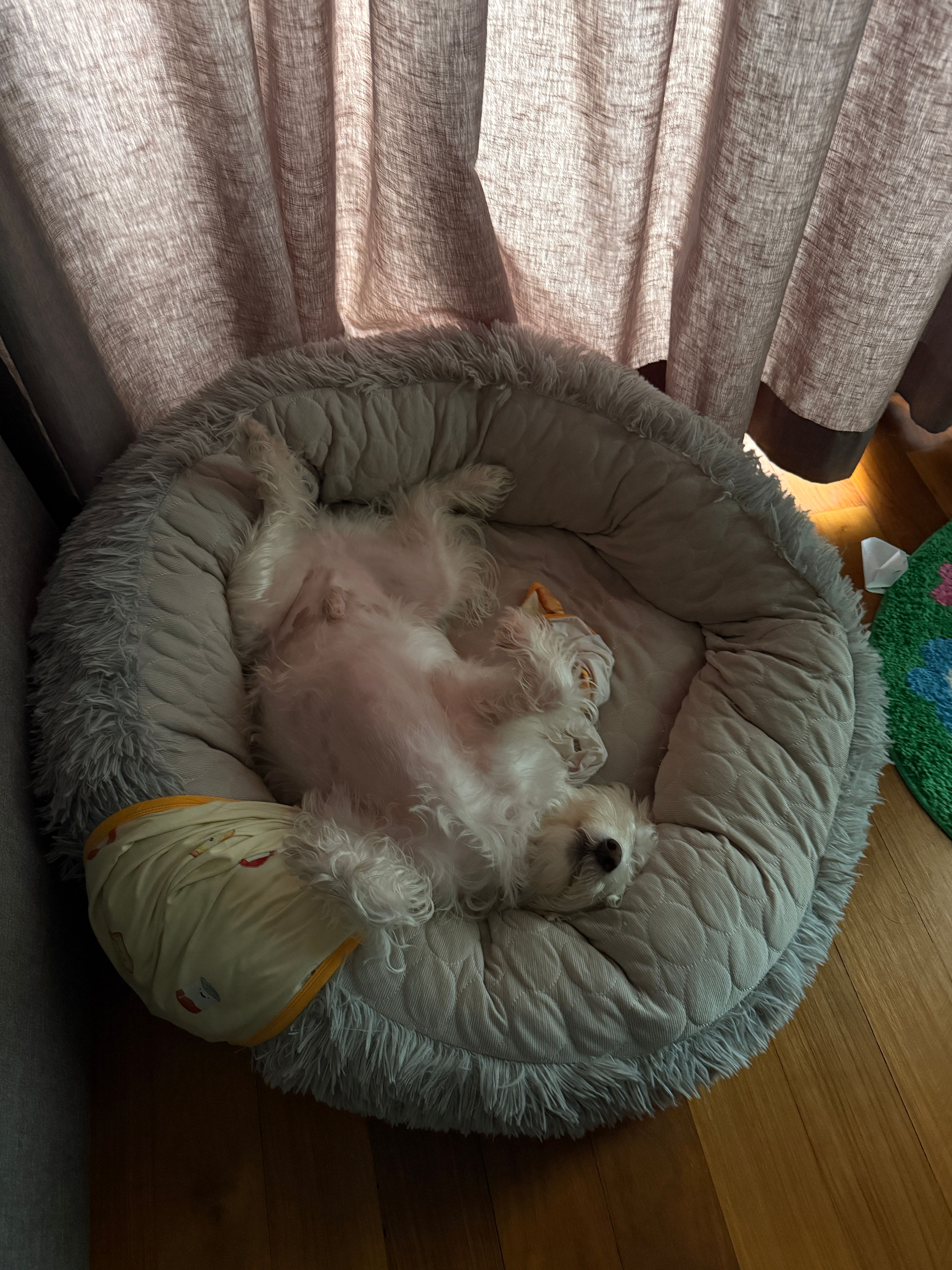 image-17
