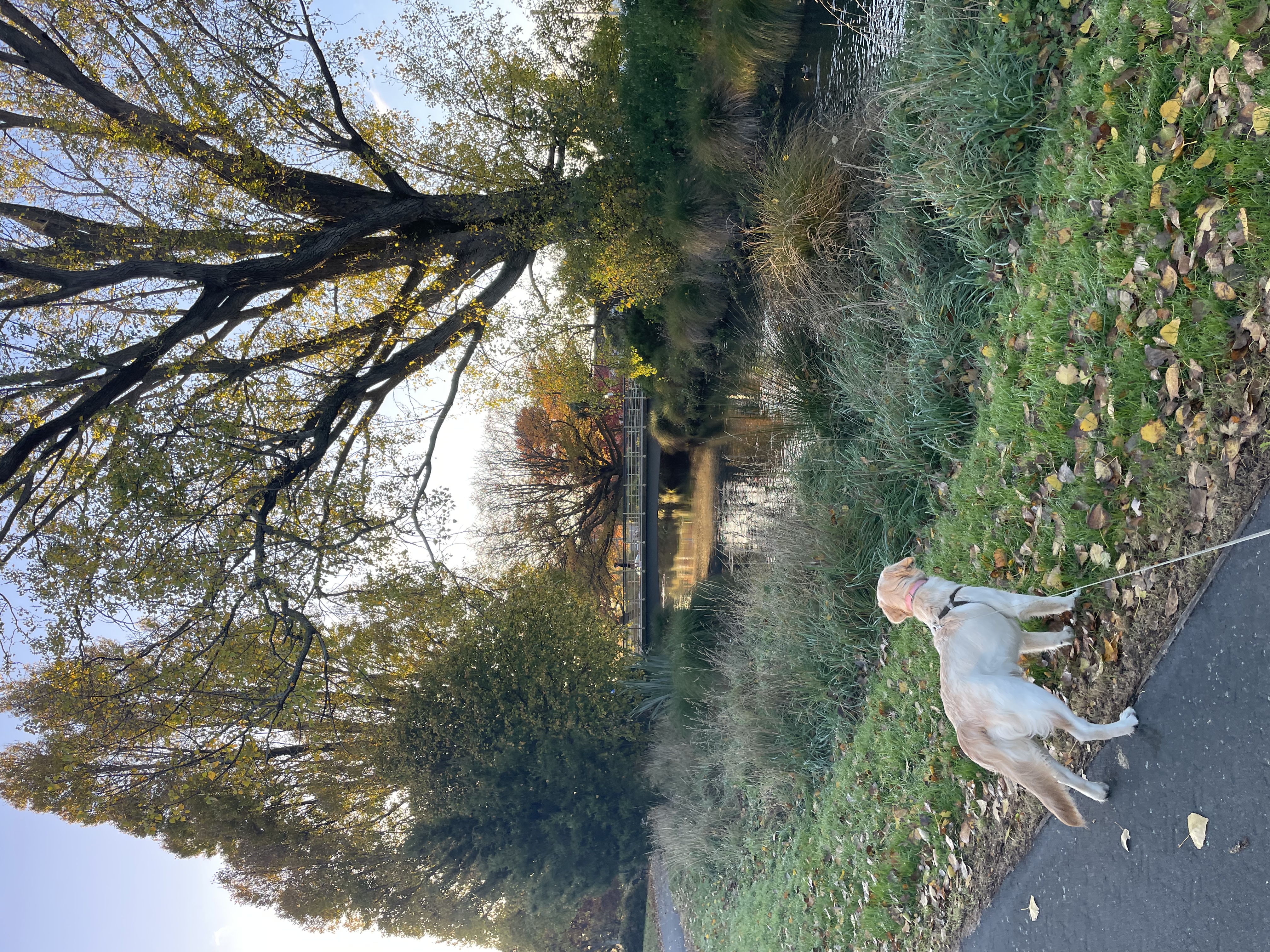 image-17