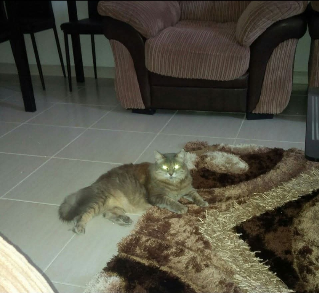 image-5