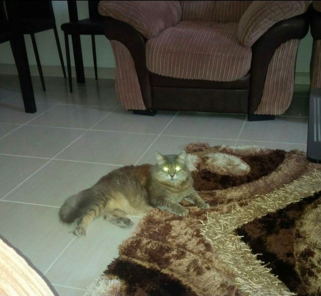 image-5