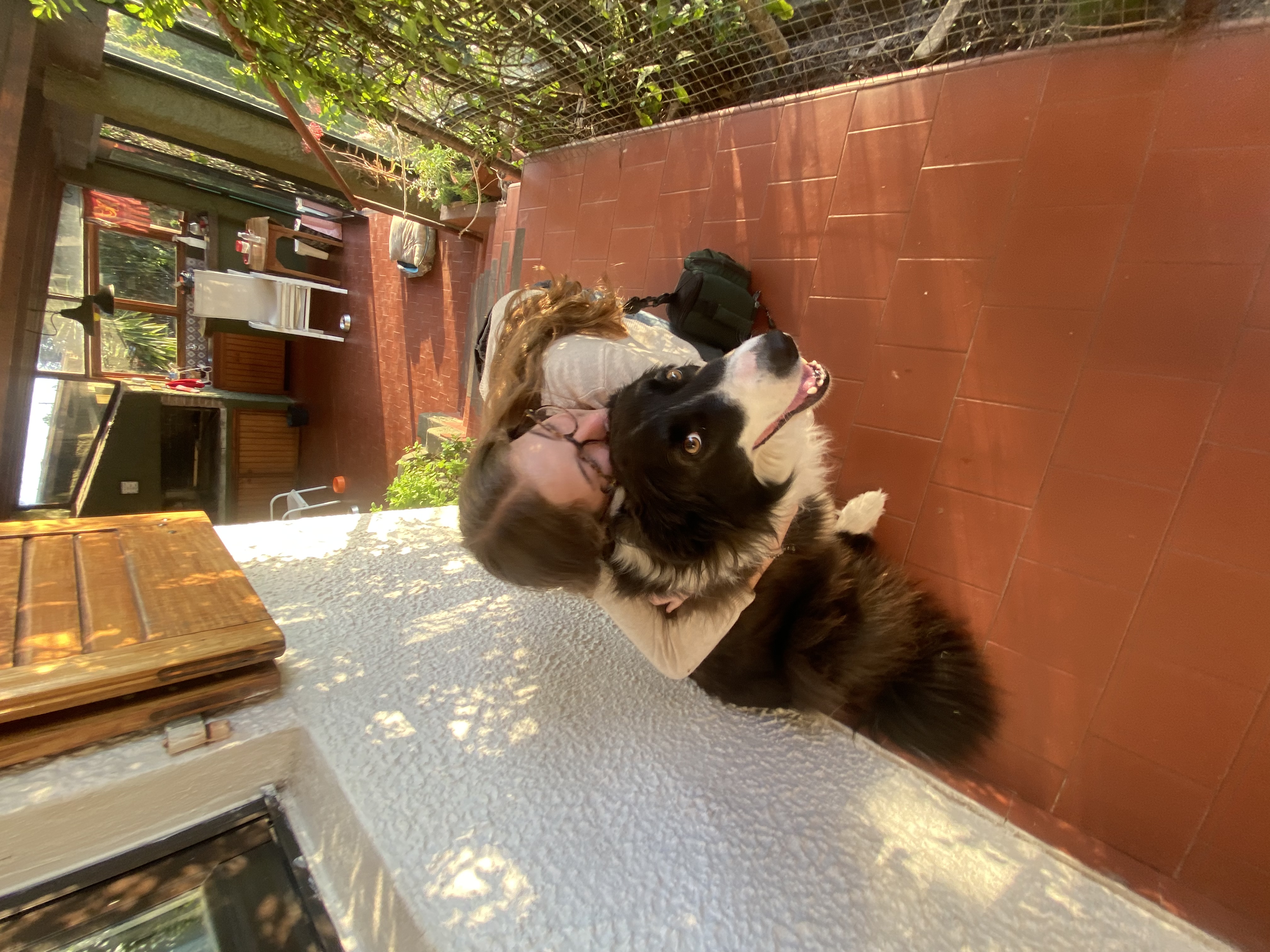 image-6