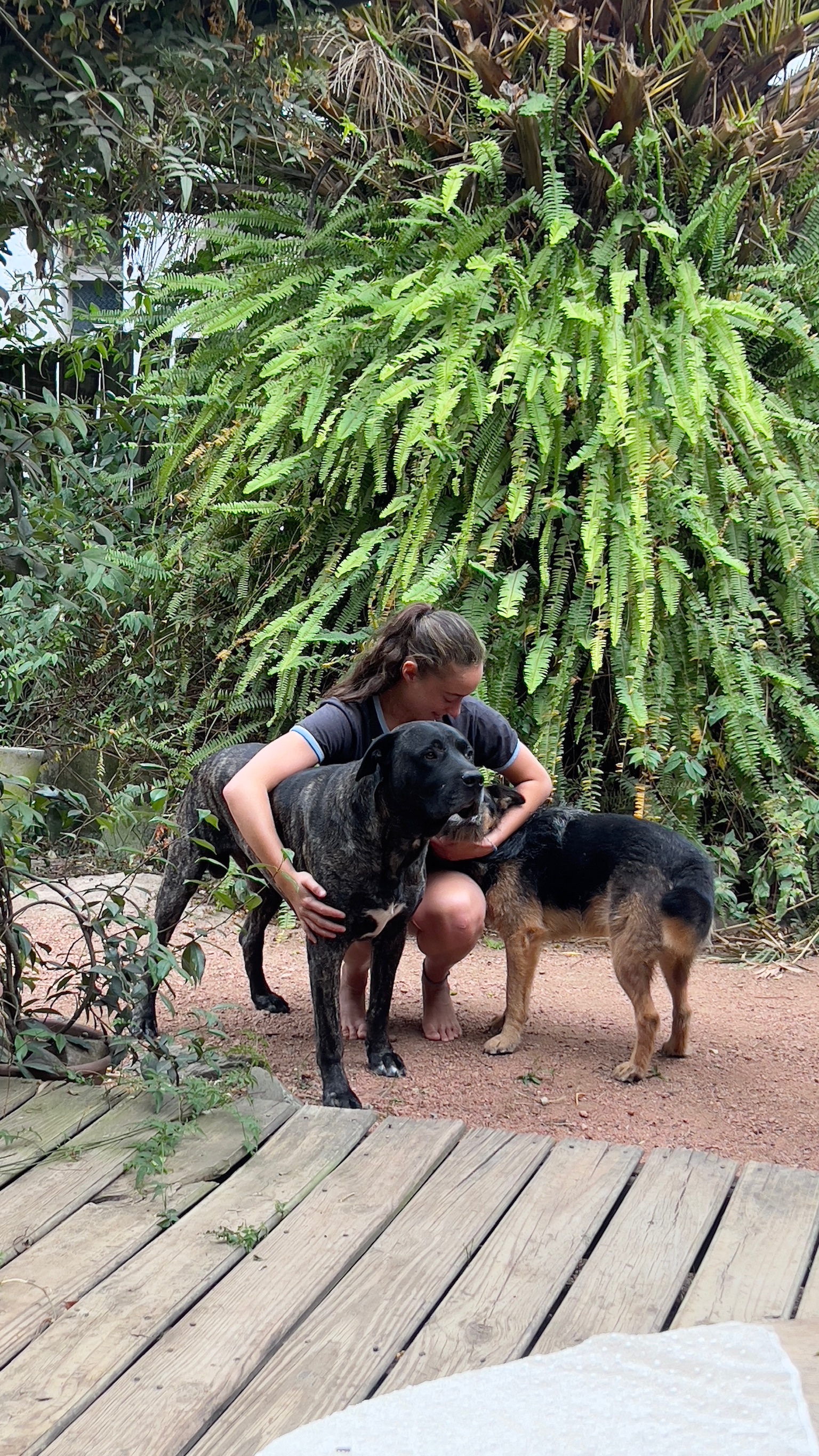 image-2
