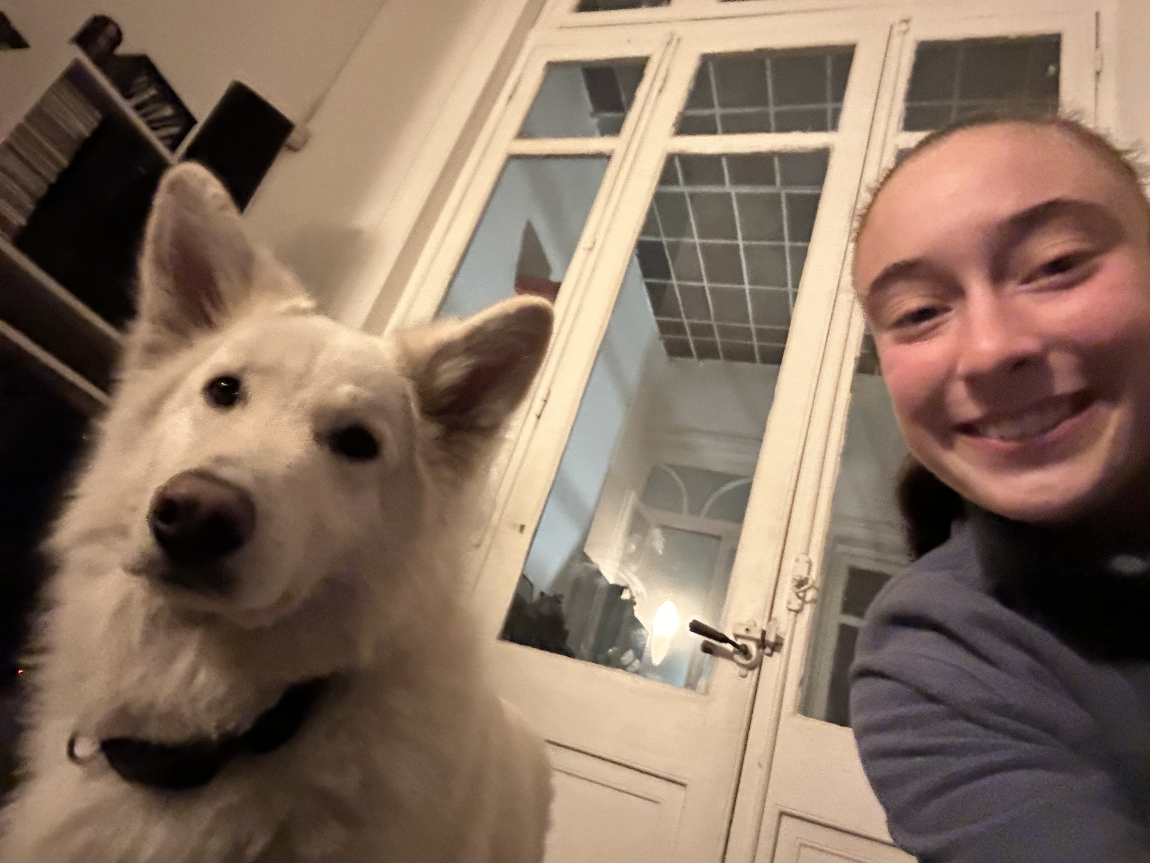 image-9