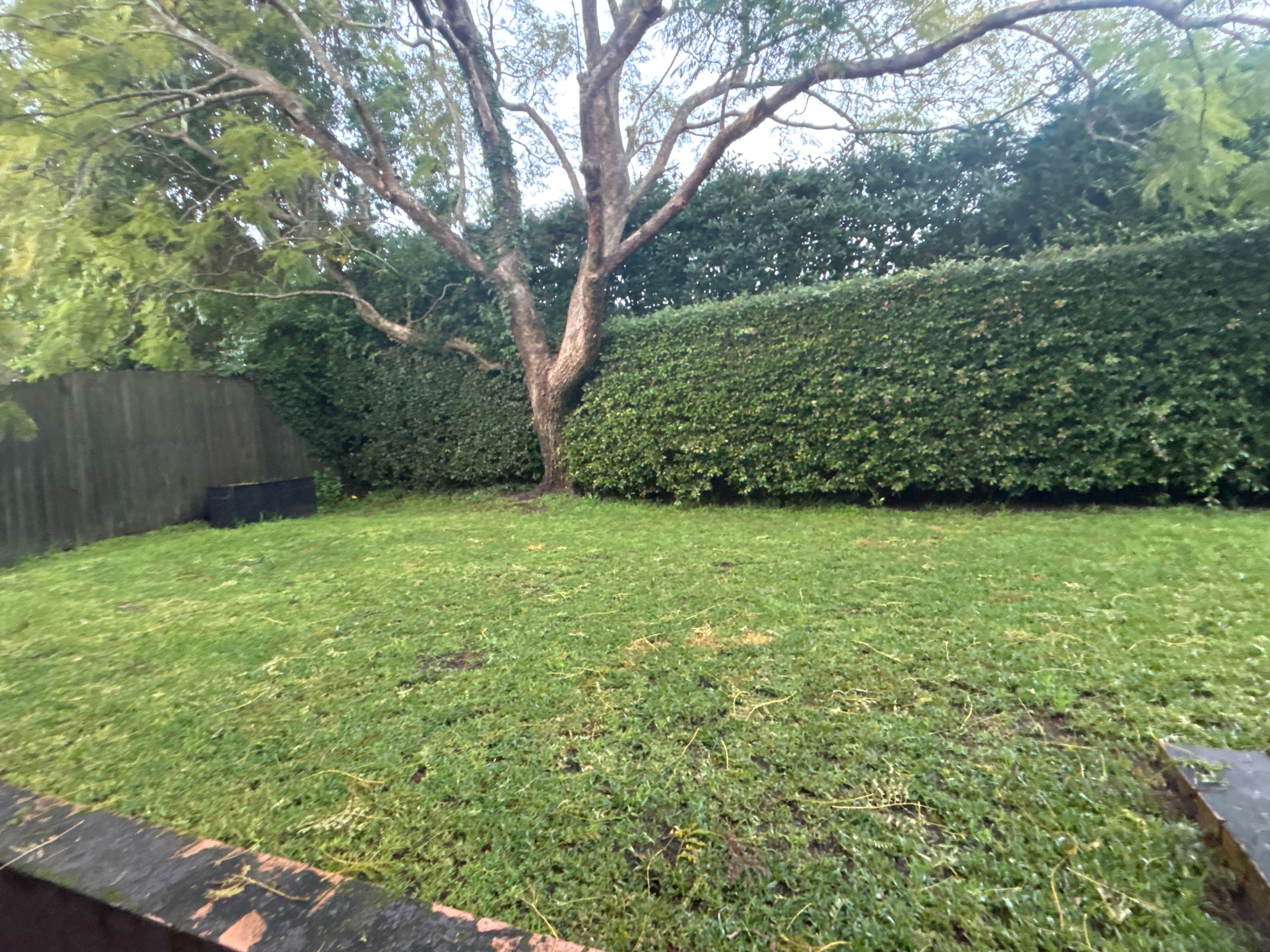 image-26