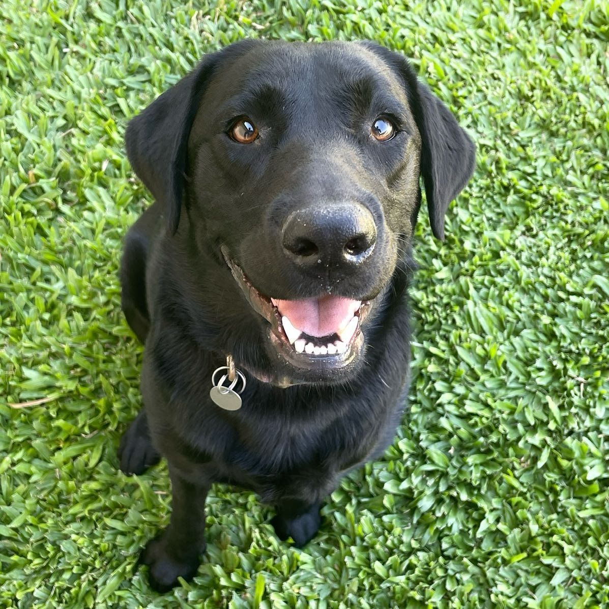 Luna