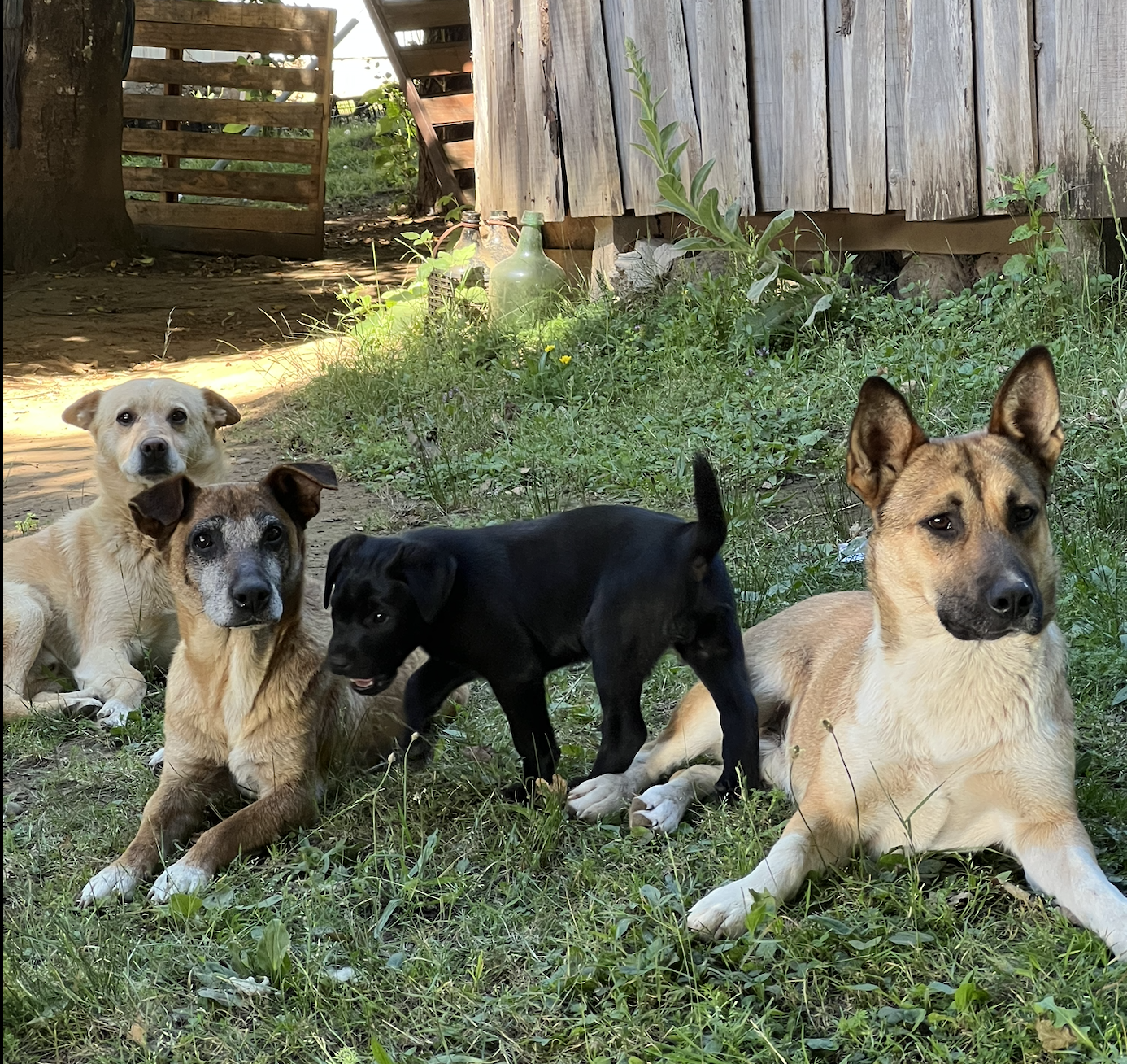 image-12