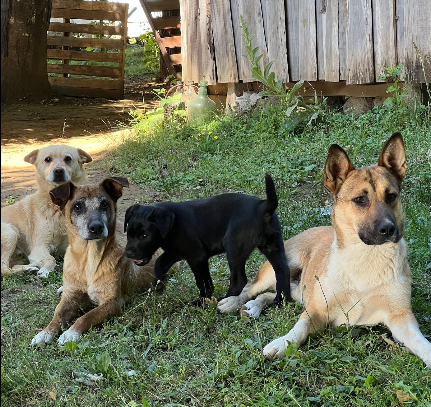 image-12