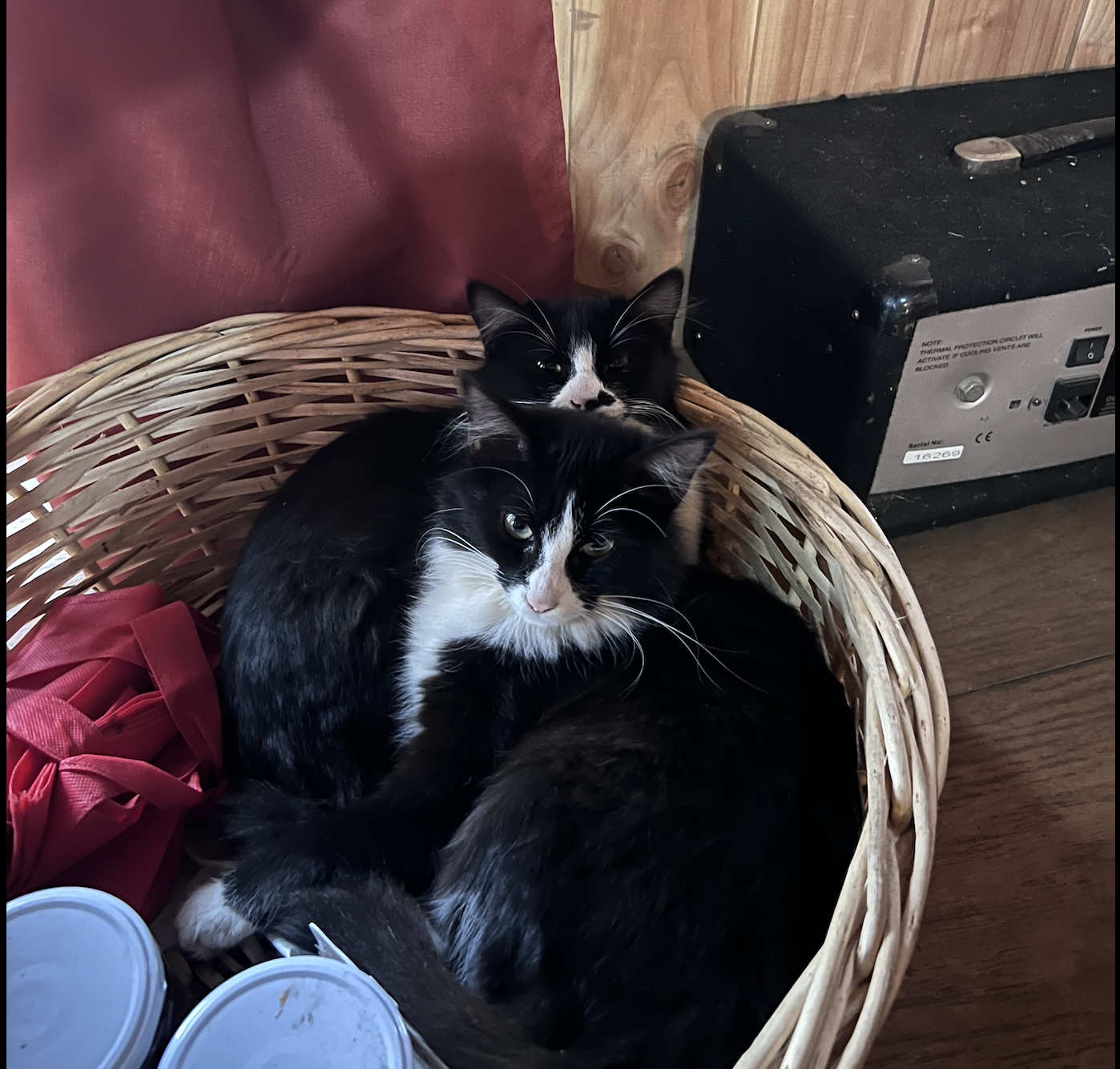 image-14