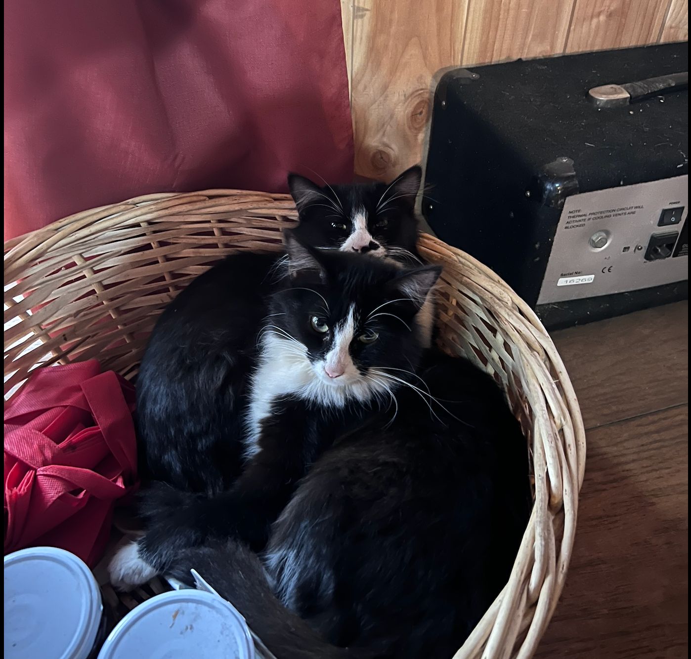 image-14