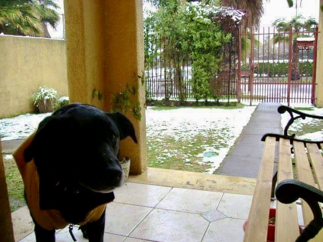 image-17