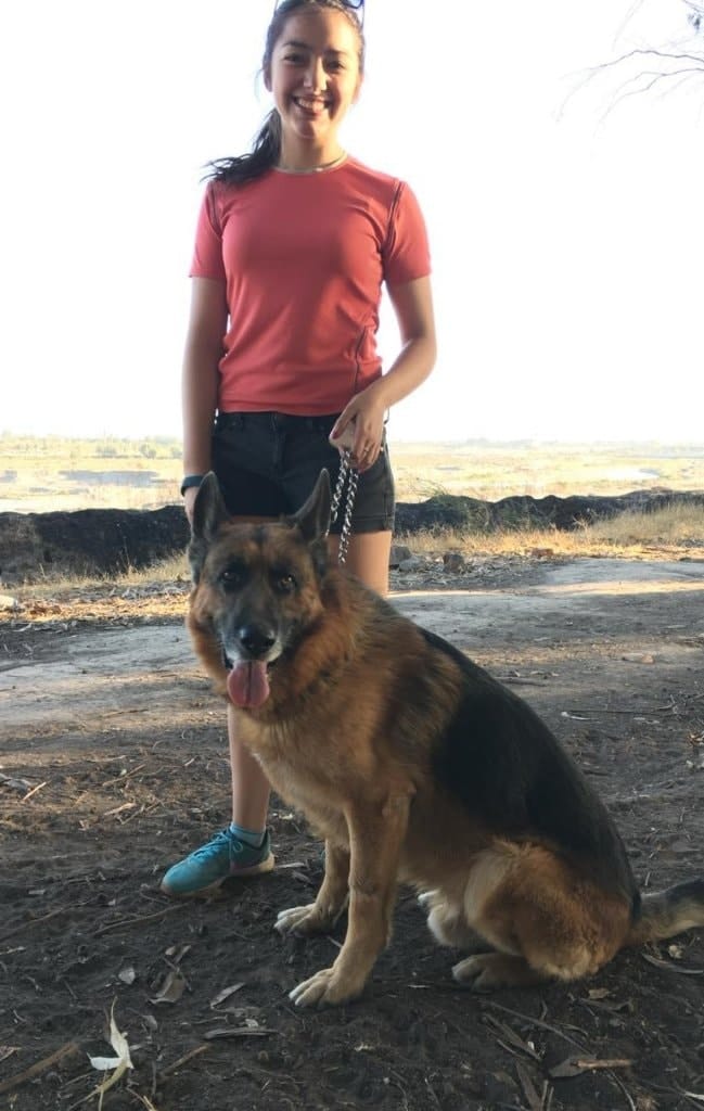 image-19