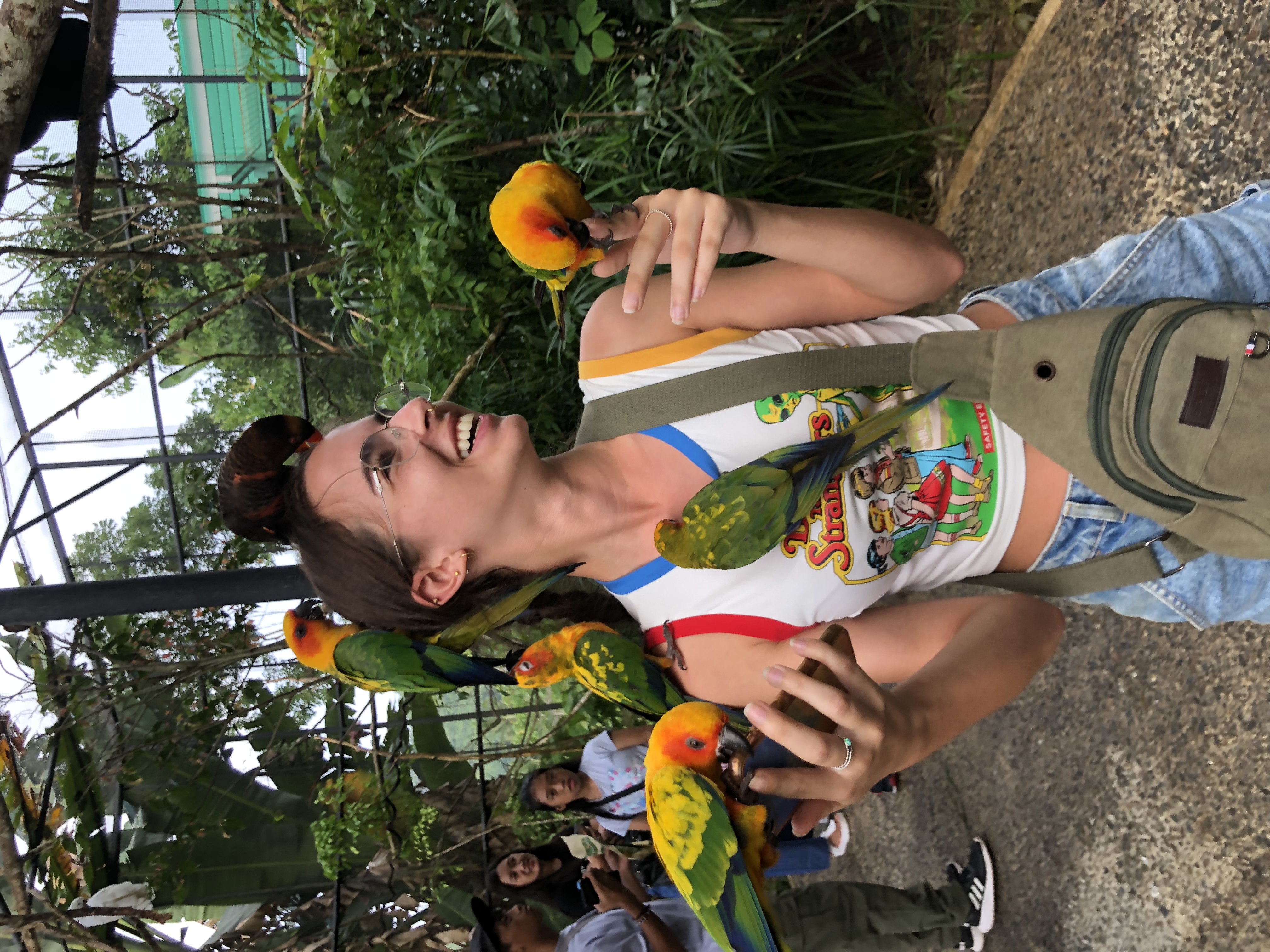 image-7
