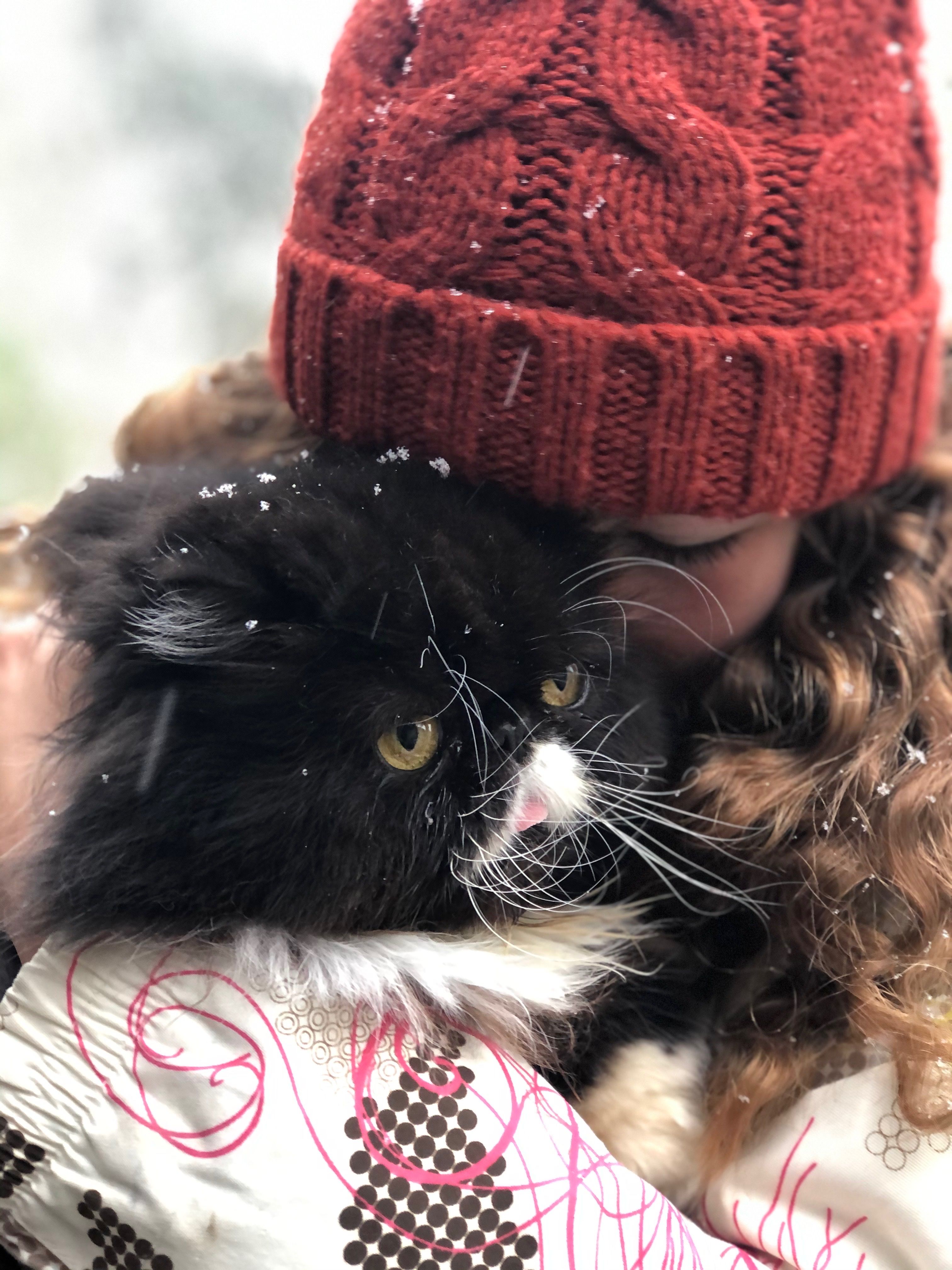 image-2
