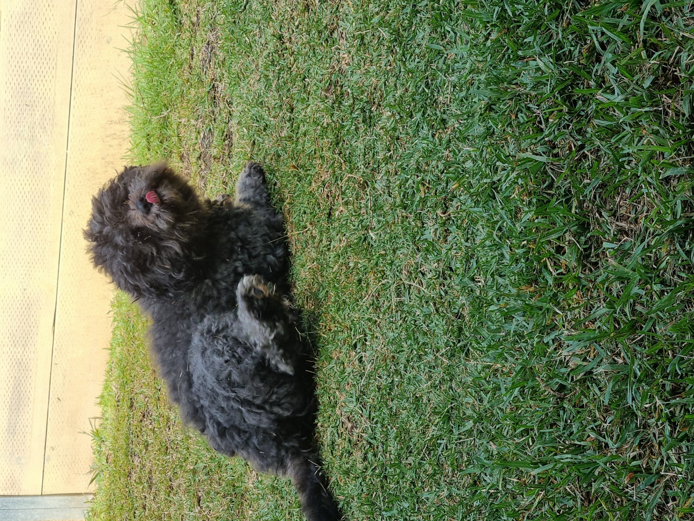 image-6
